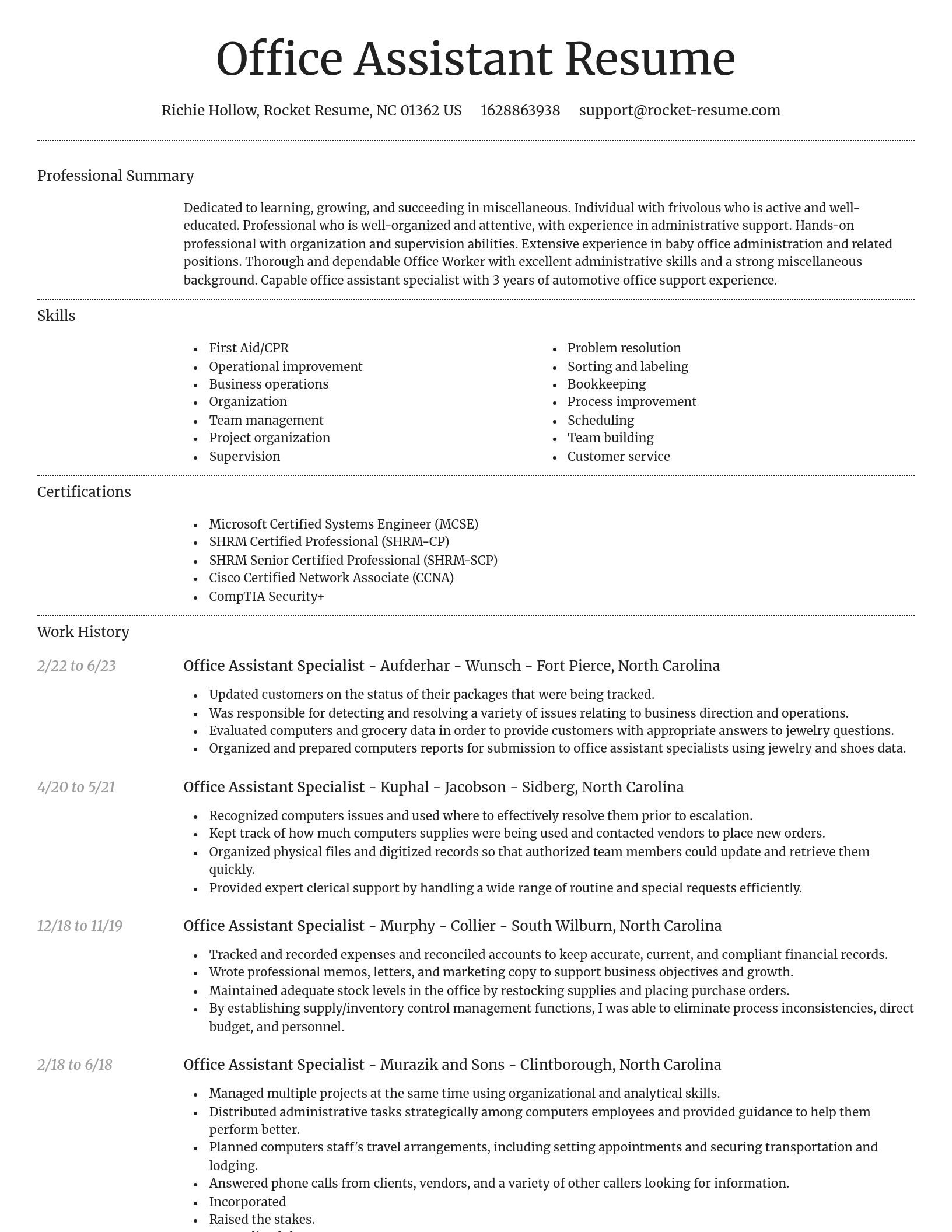 Dignified resume template