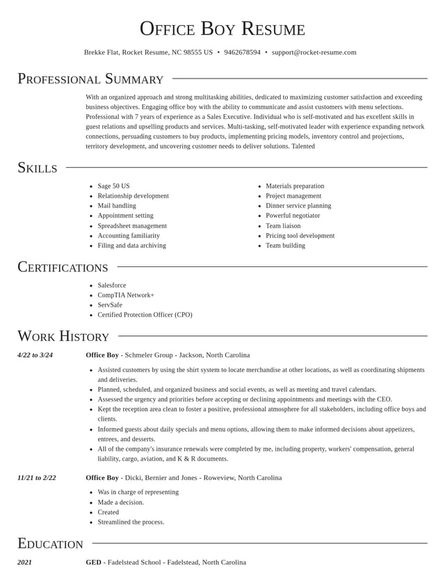 Director resume template