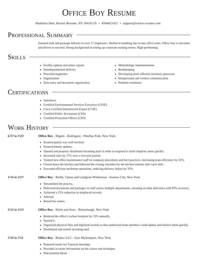 Director resume template