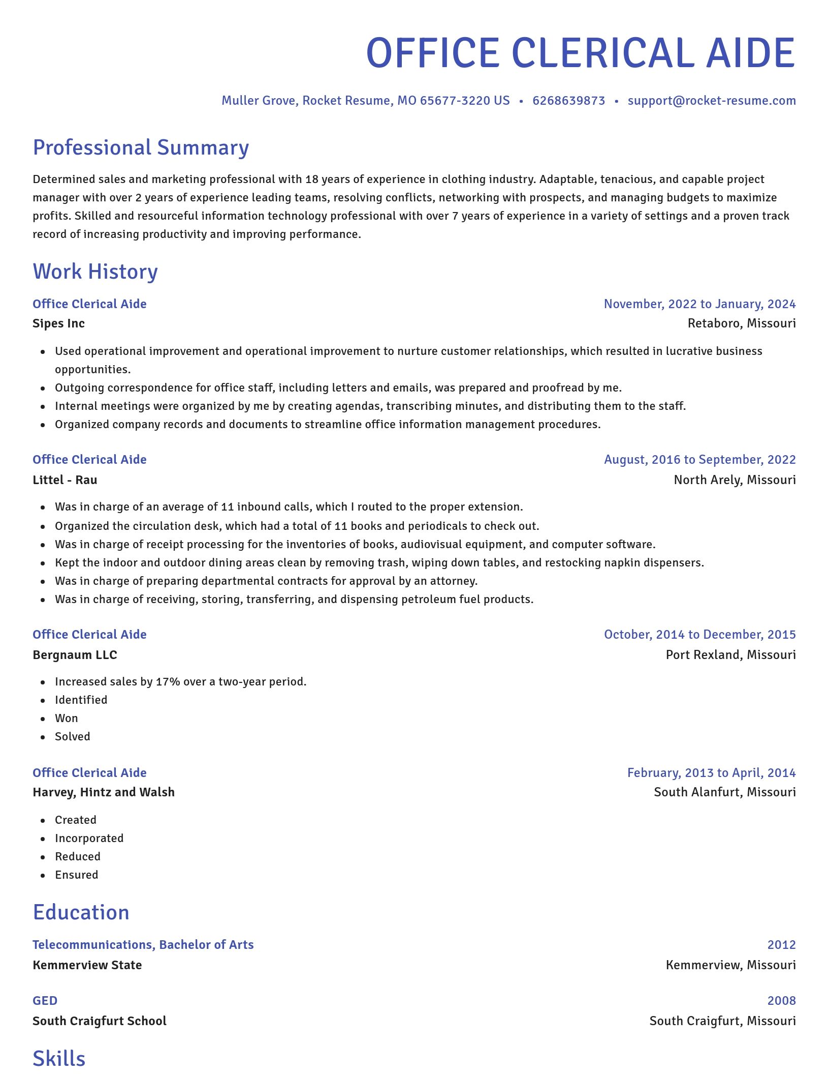 Novel resume template