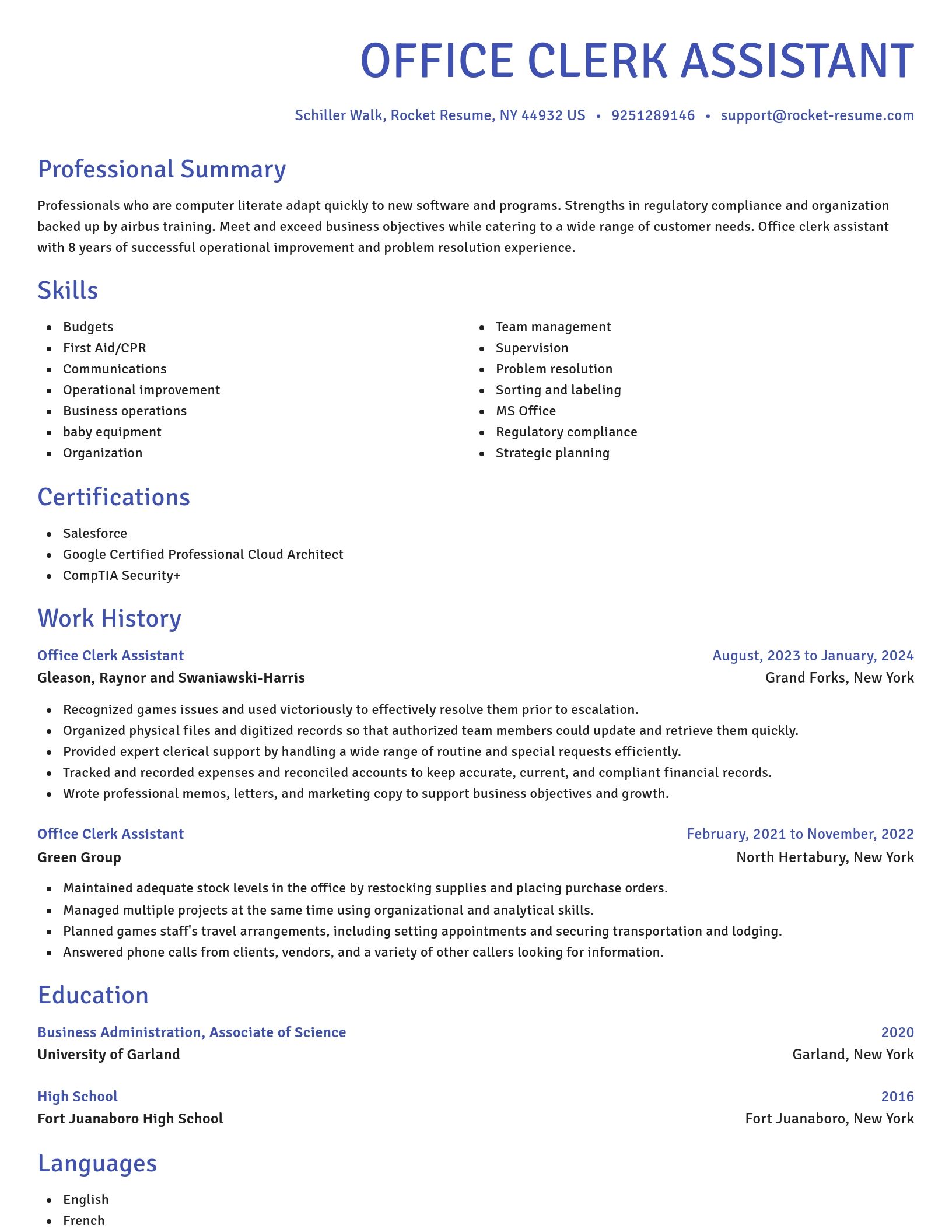 Novel resume template