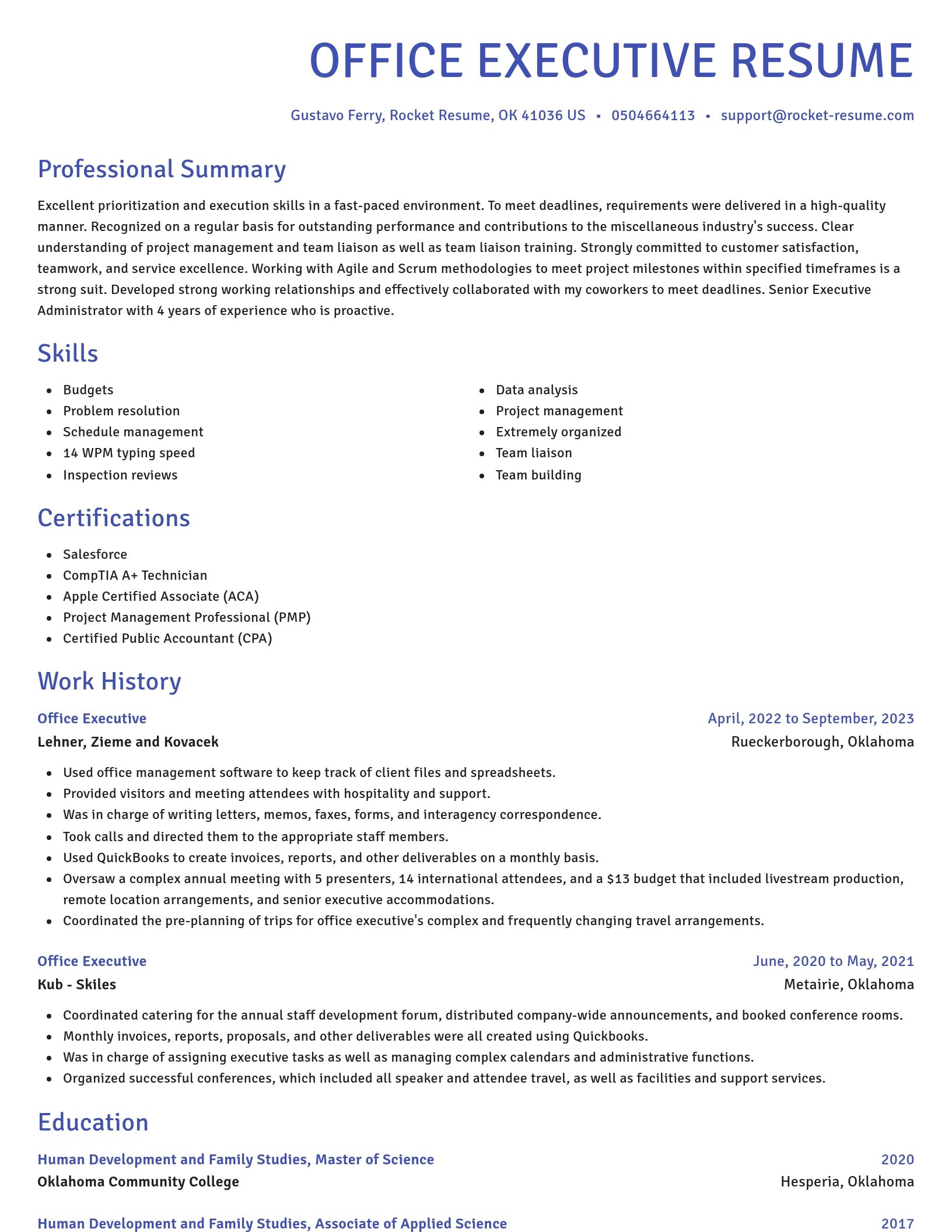 Novel resume template