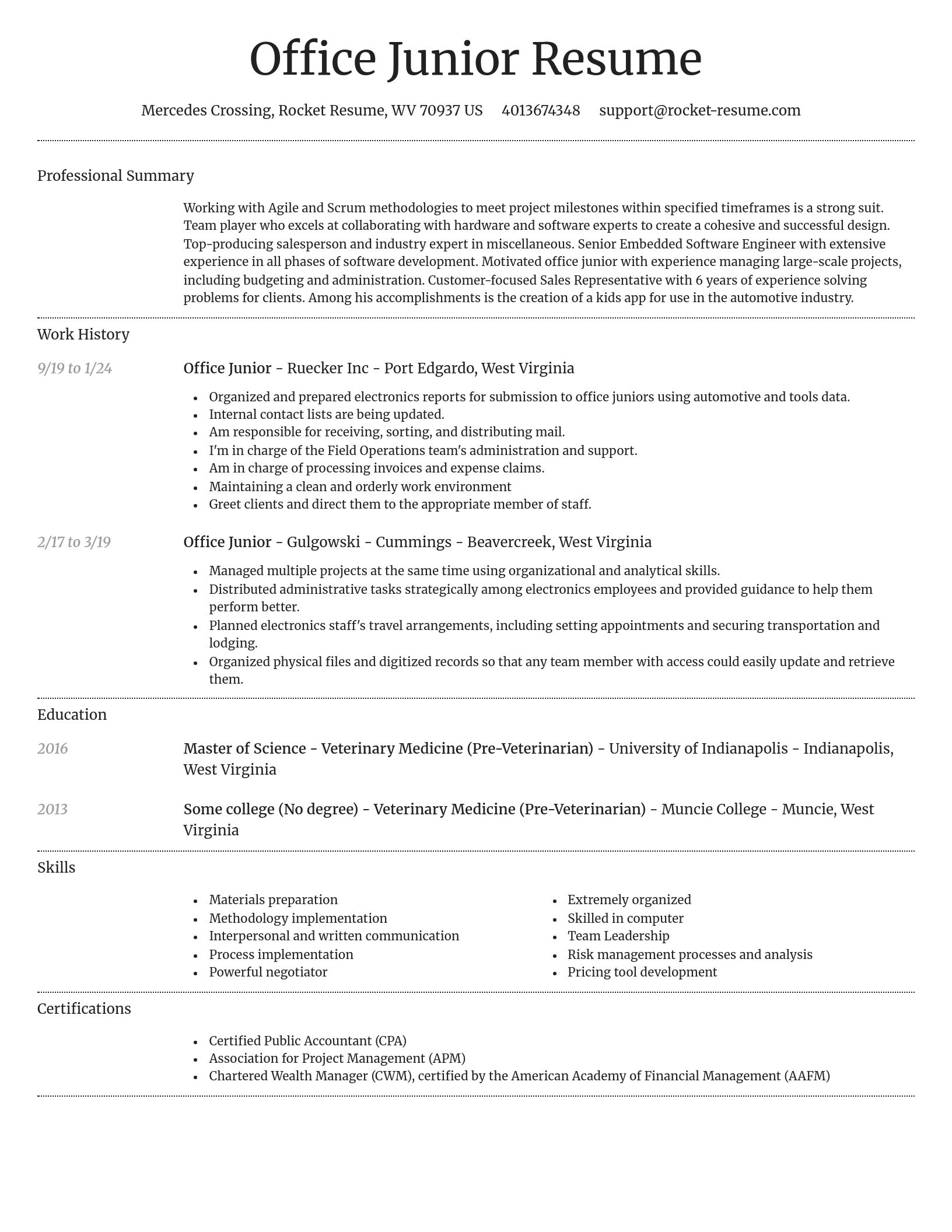 Dignified resume template