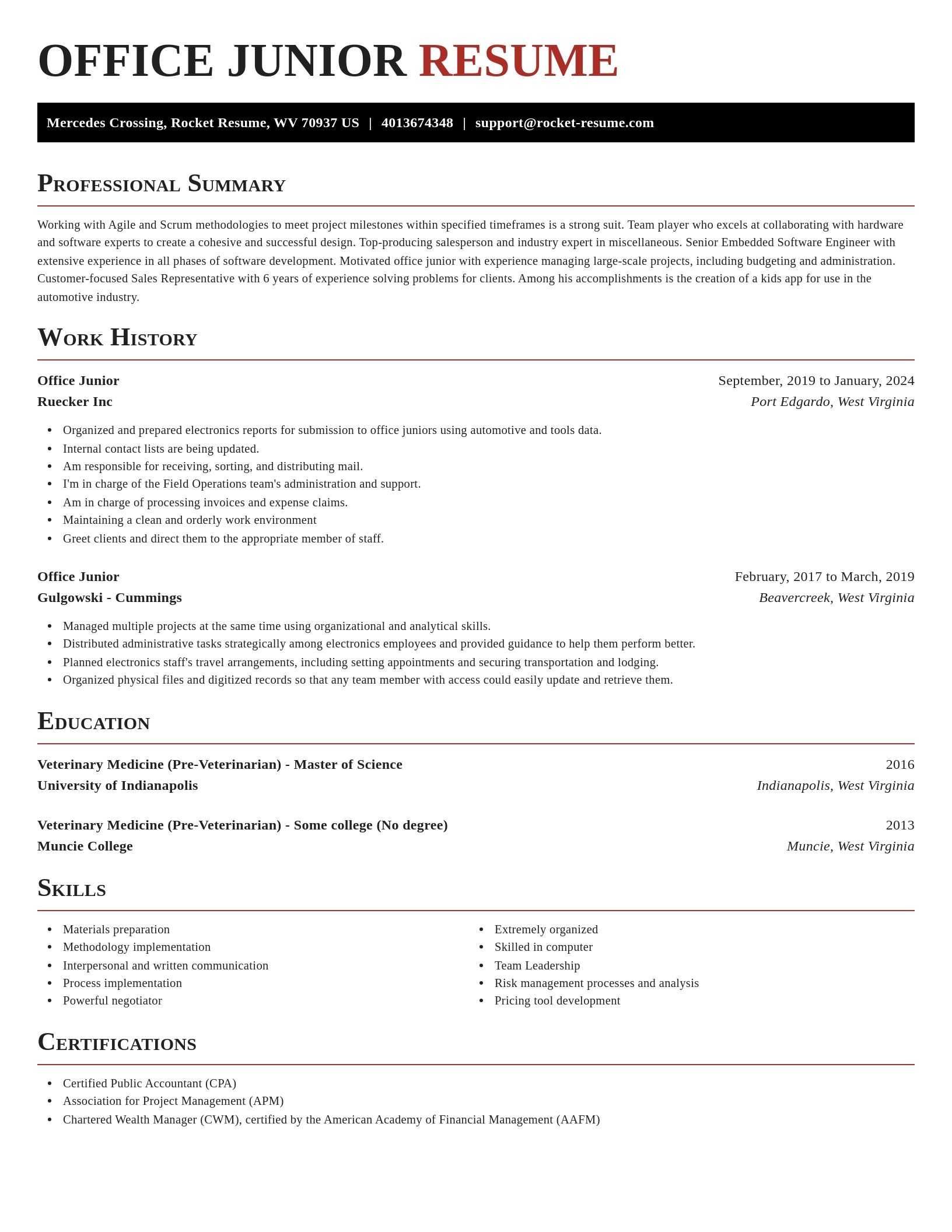 Exquisite resume template