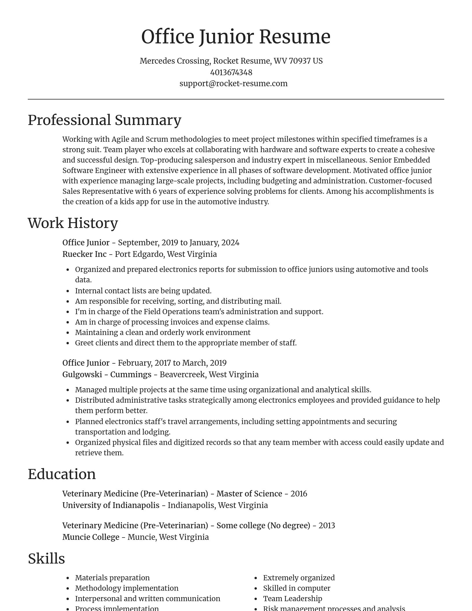 Focal Point resume template