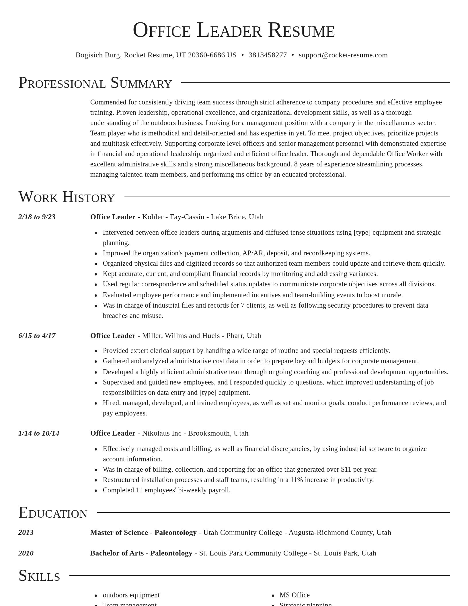 Director resume template
