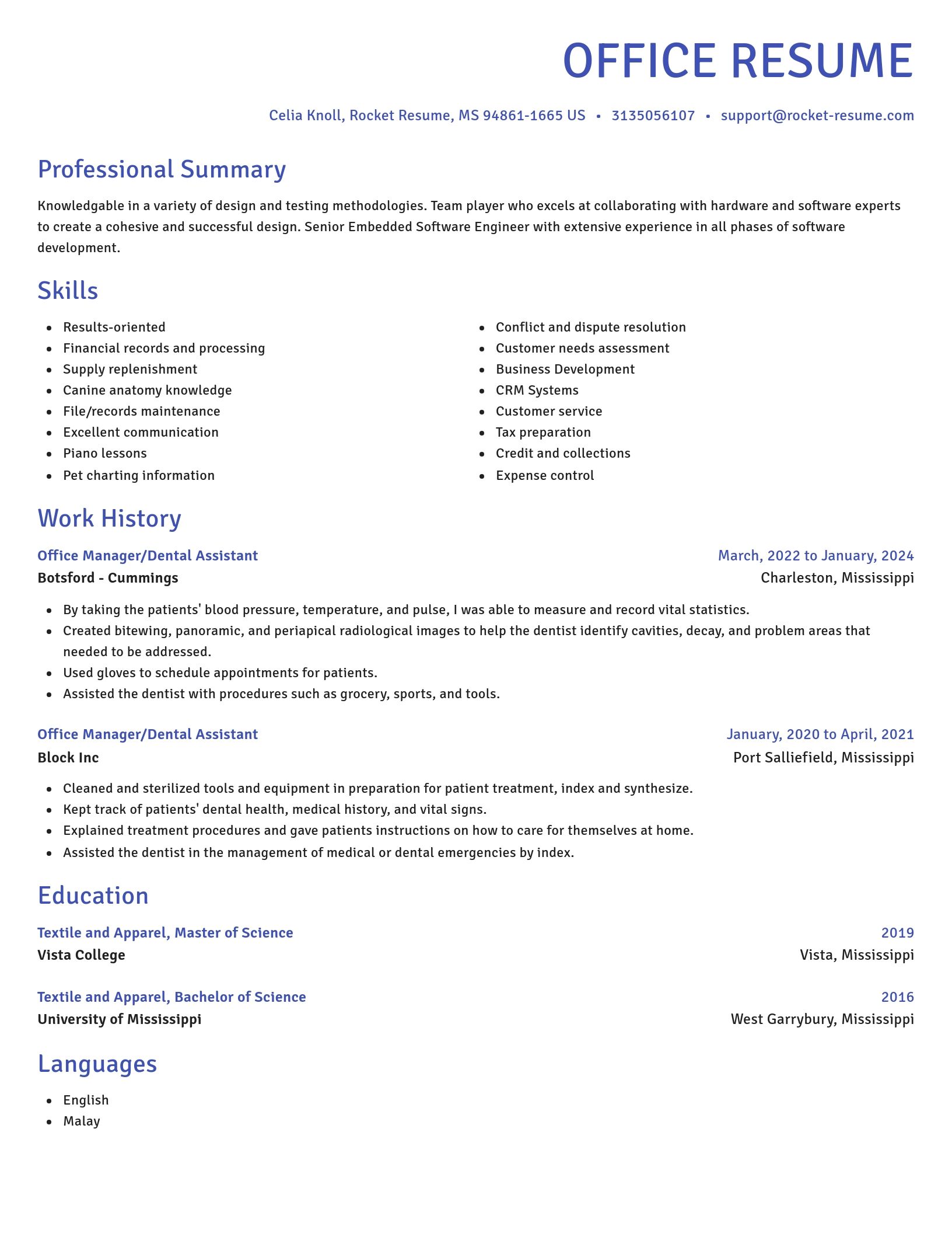 Novel resume template