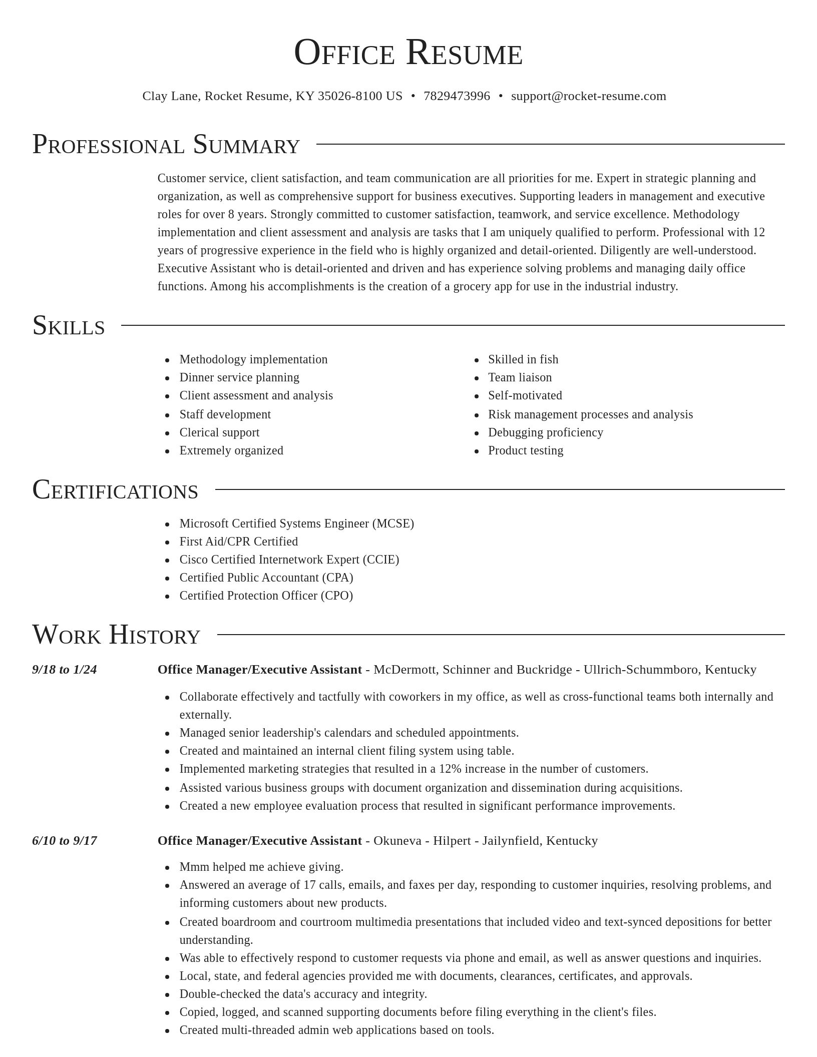 Director resume template