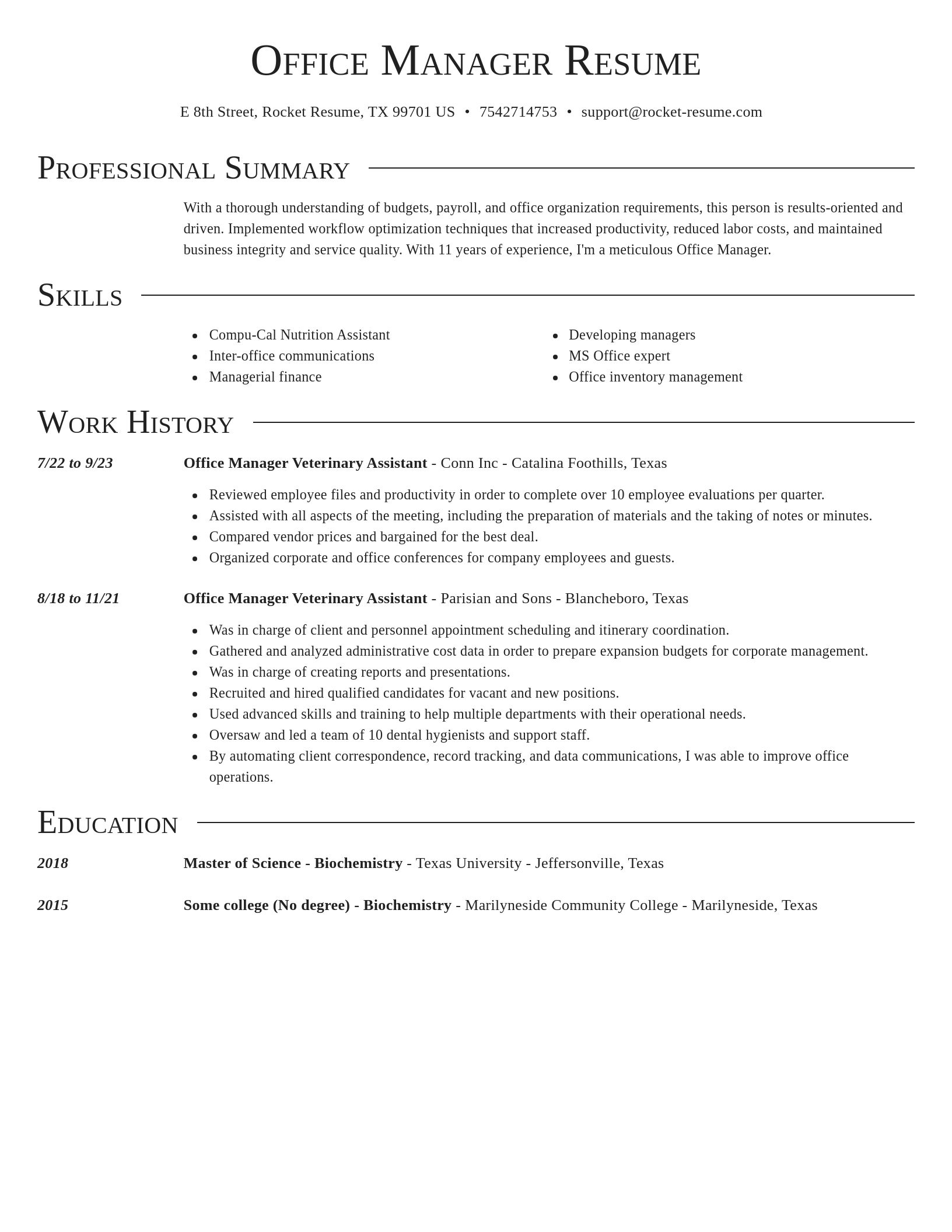 Director resume template