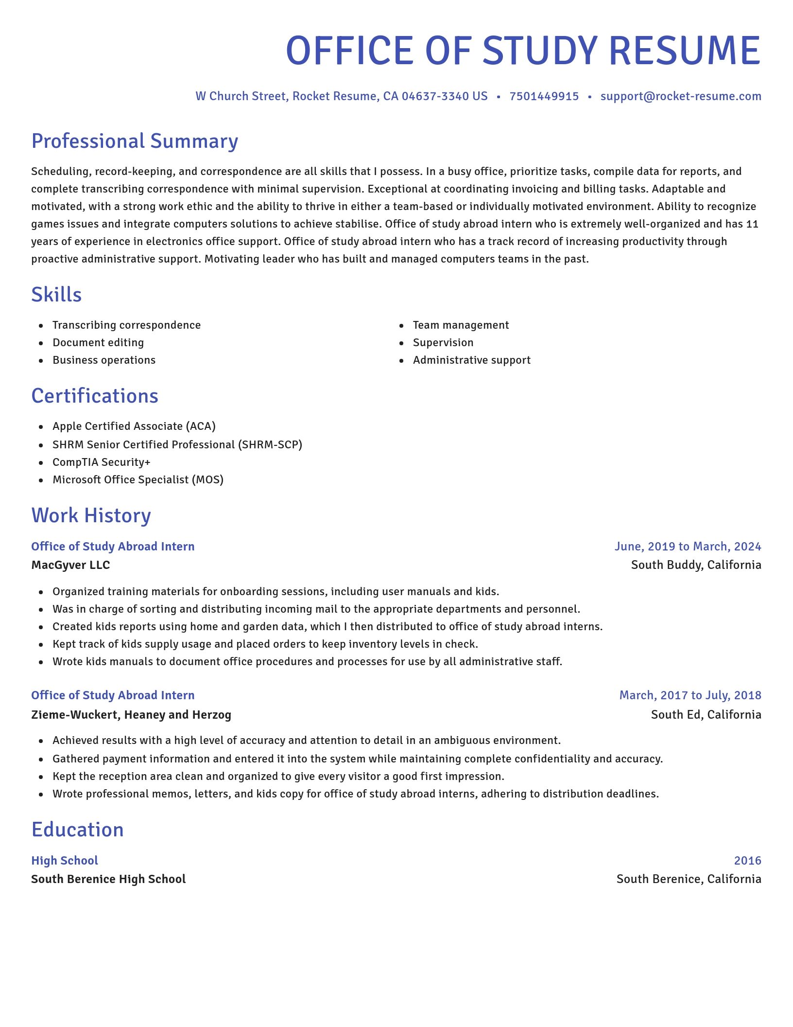 Novel resume template