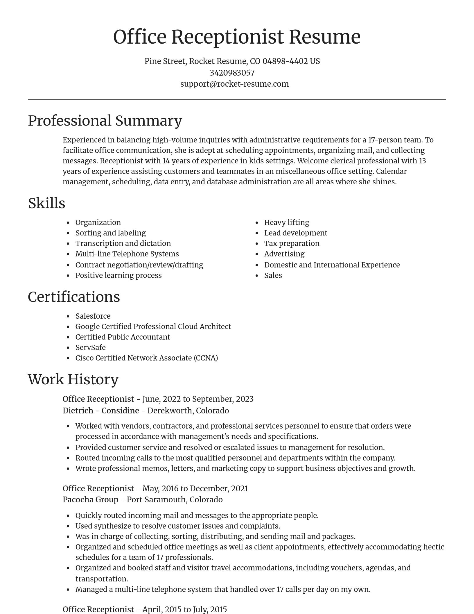 Focal Point resume template