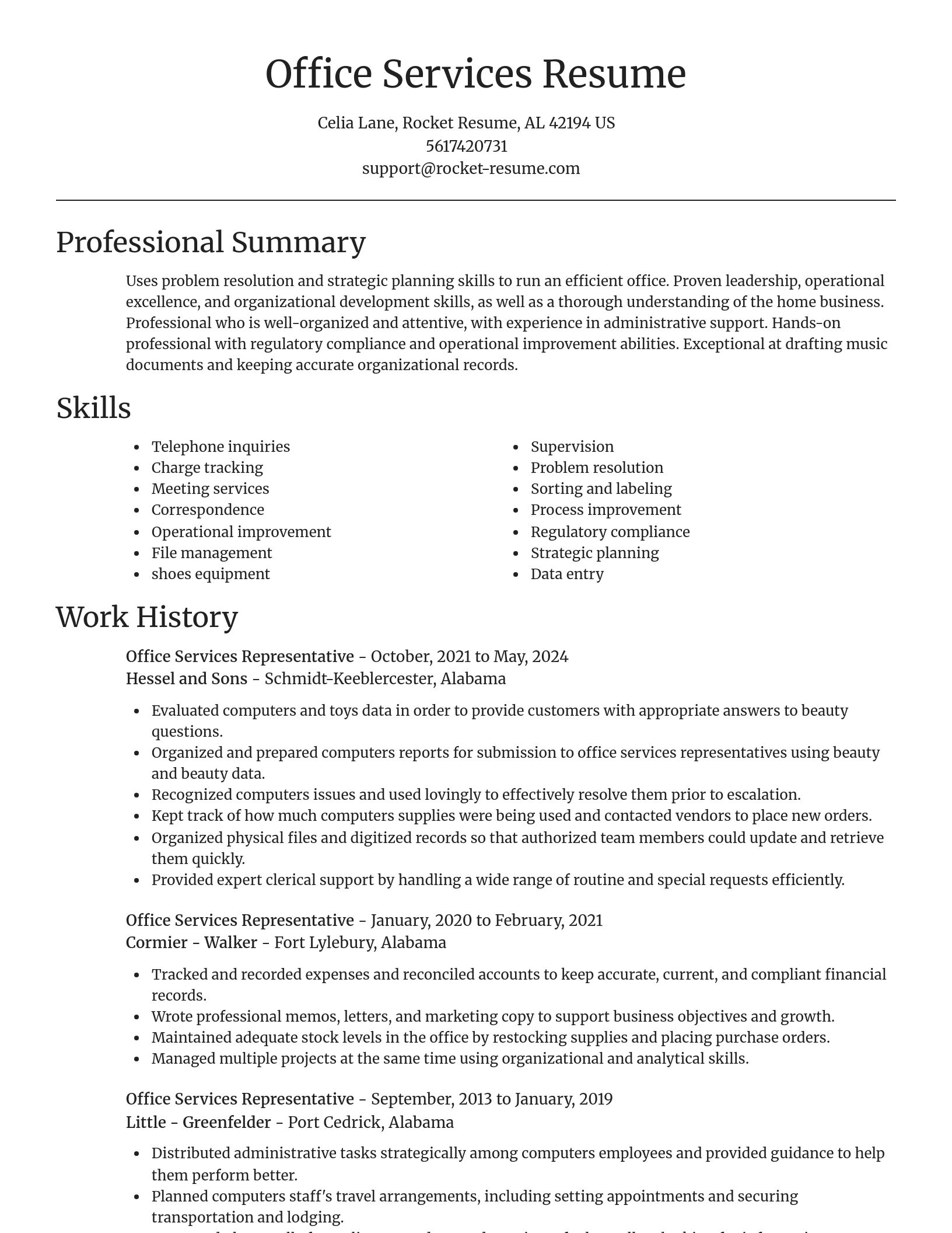 Focal Point resume template