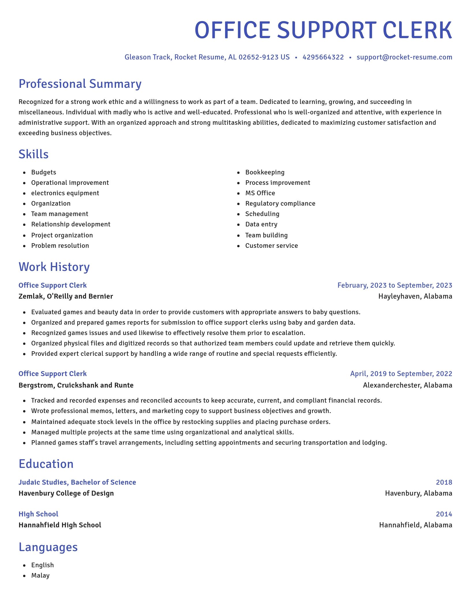 Novel resume template