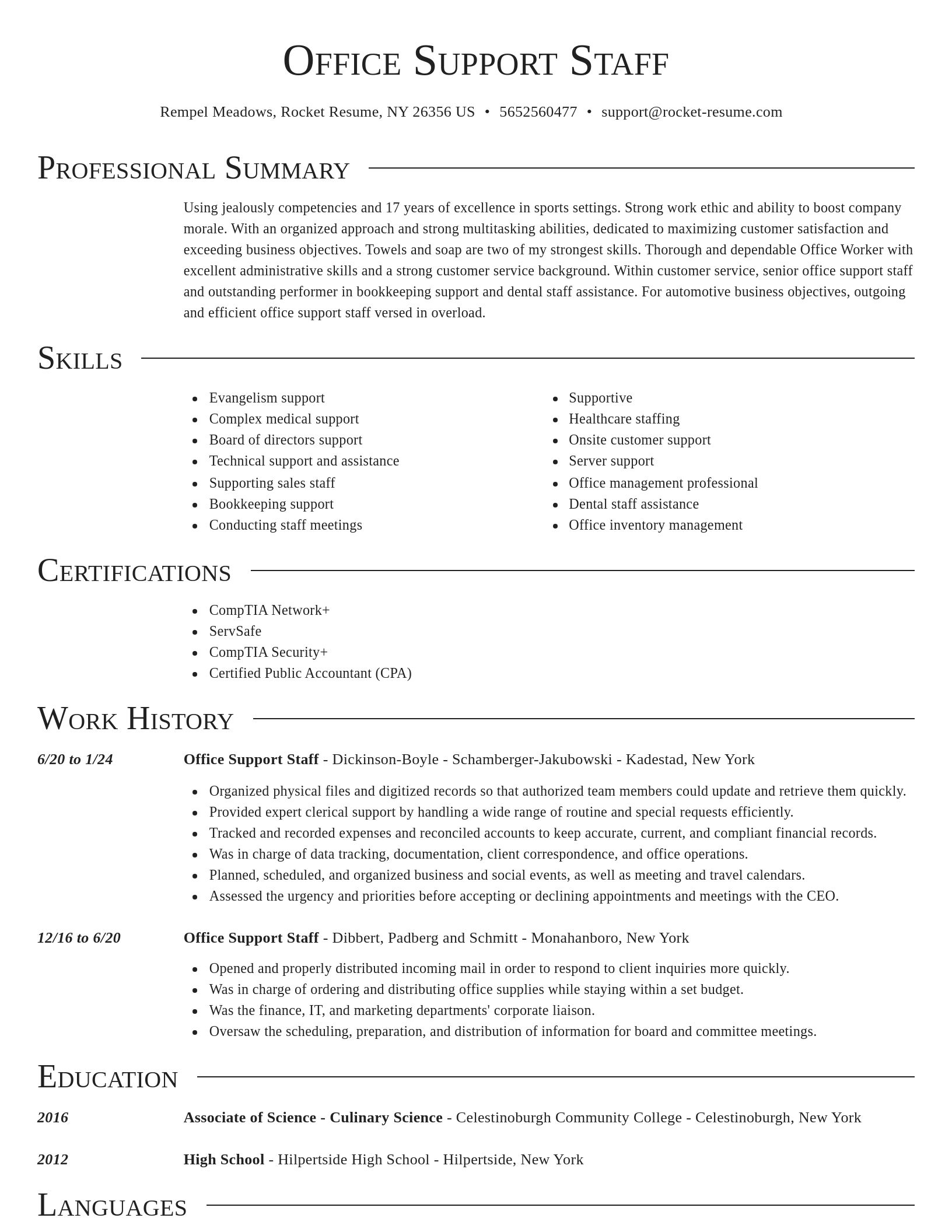 Director resume template