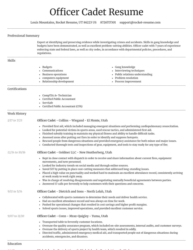 Dignified resume template