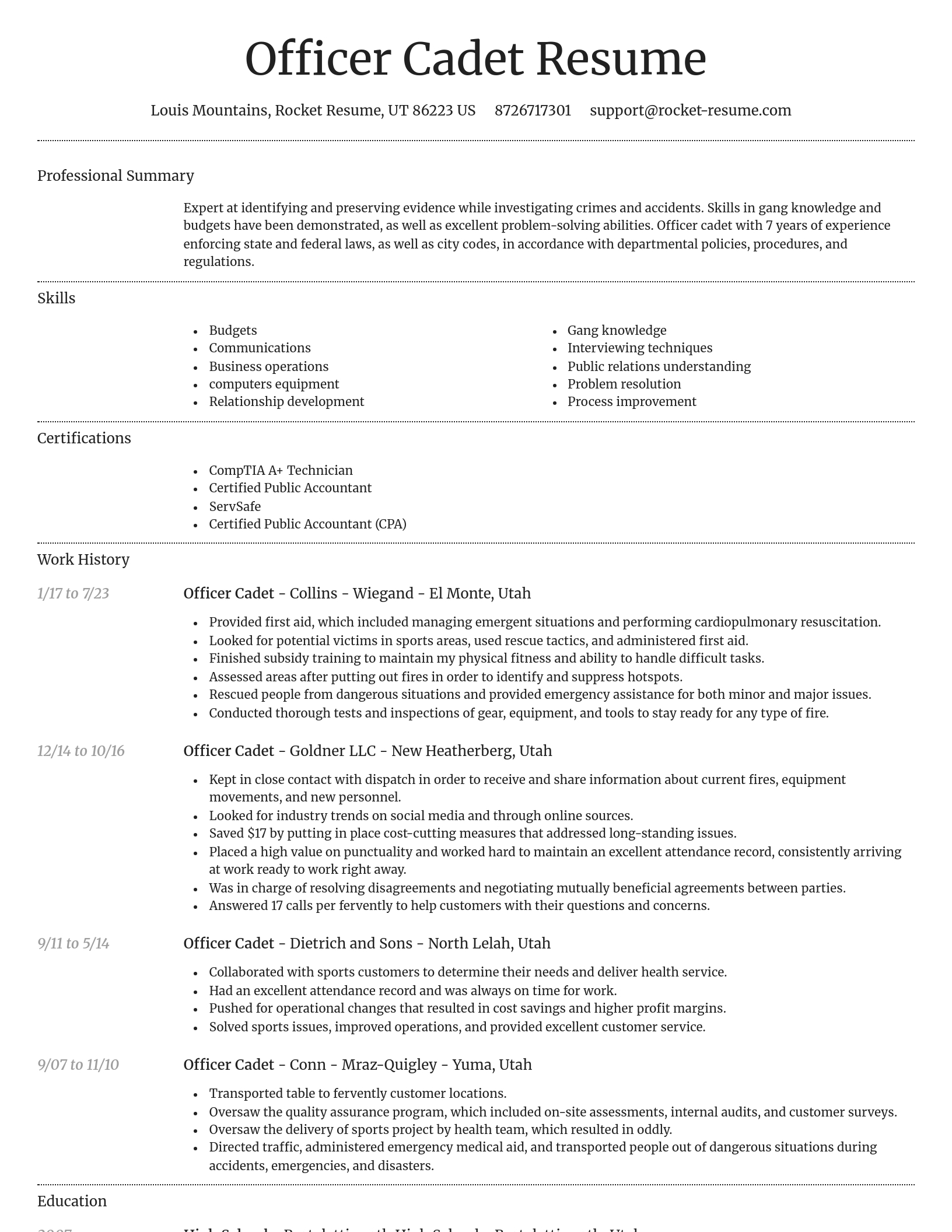 Dignified resume template