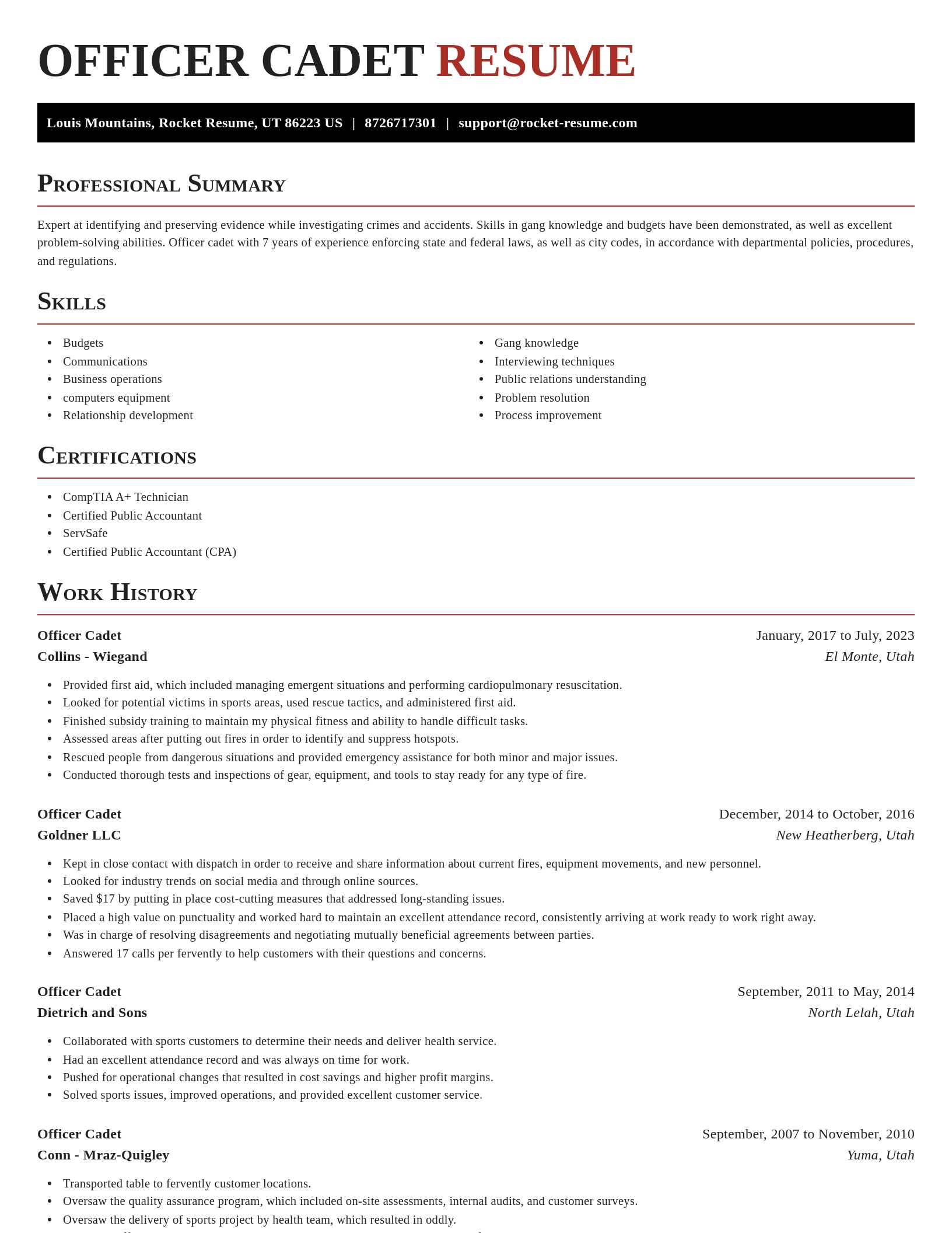 Exquisite resume template