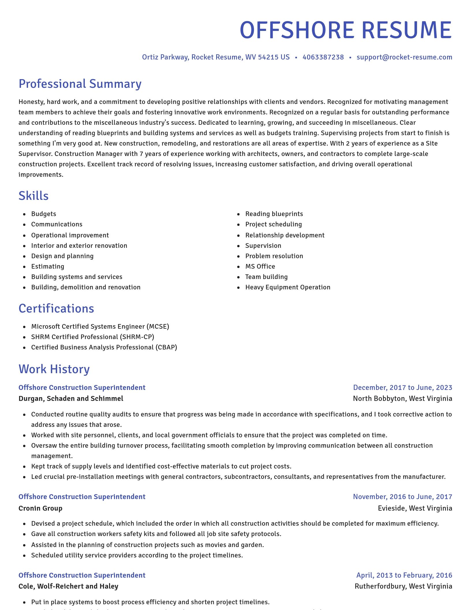 Novel resume template