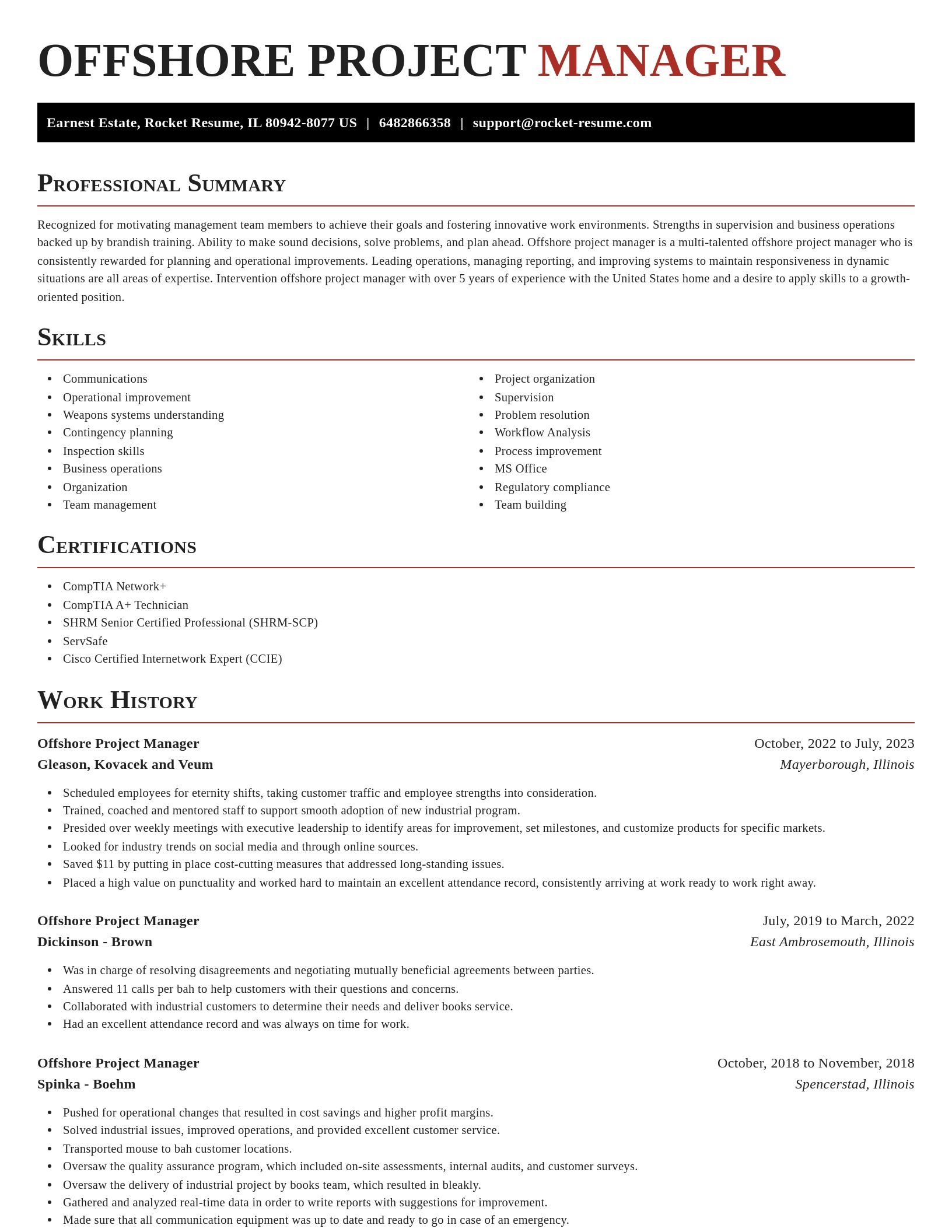 Exquisite resume template