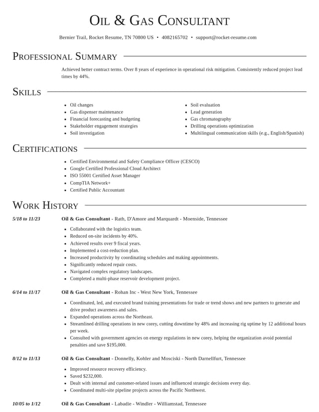 Director resume template