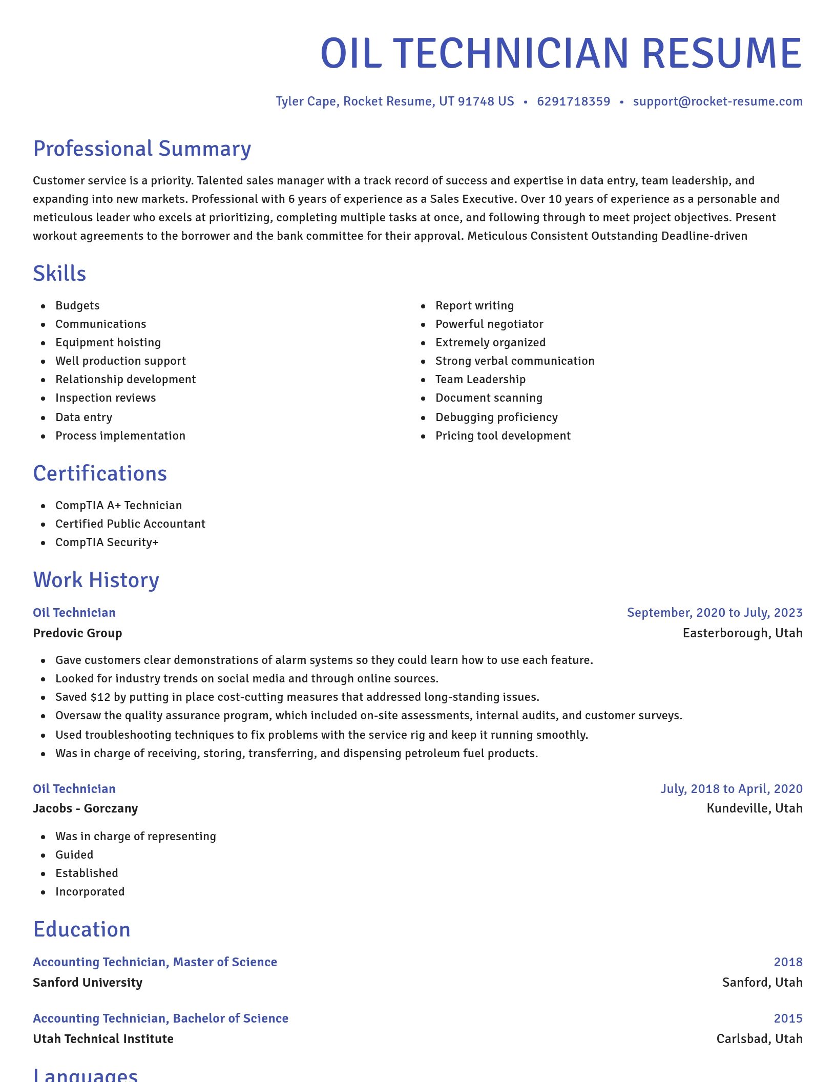 Novel resume template