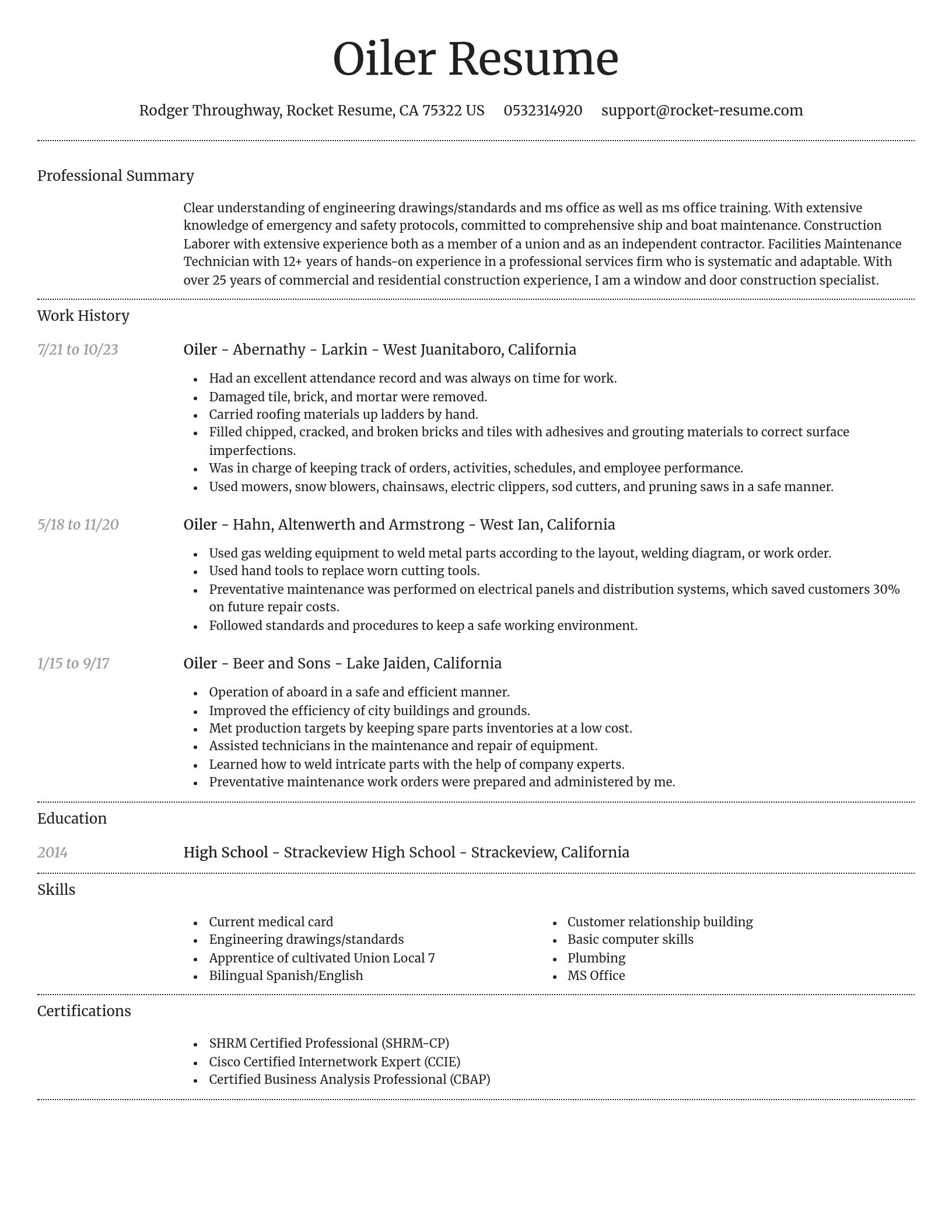 Dignified resume template