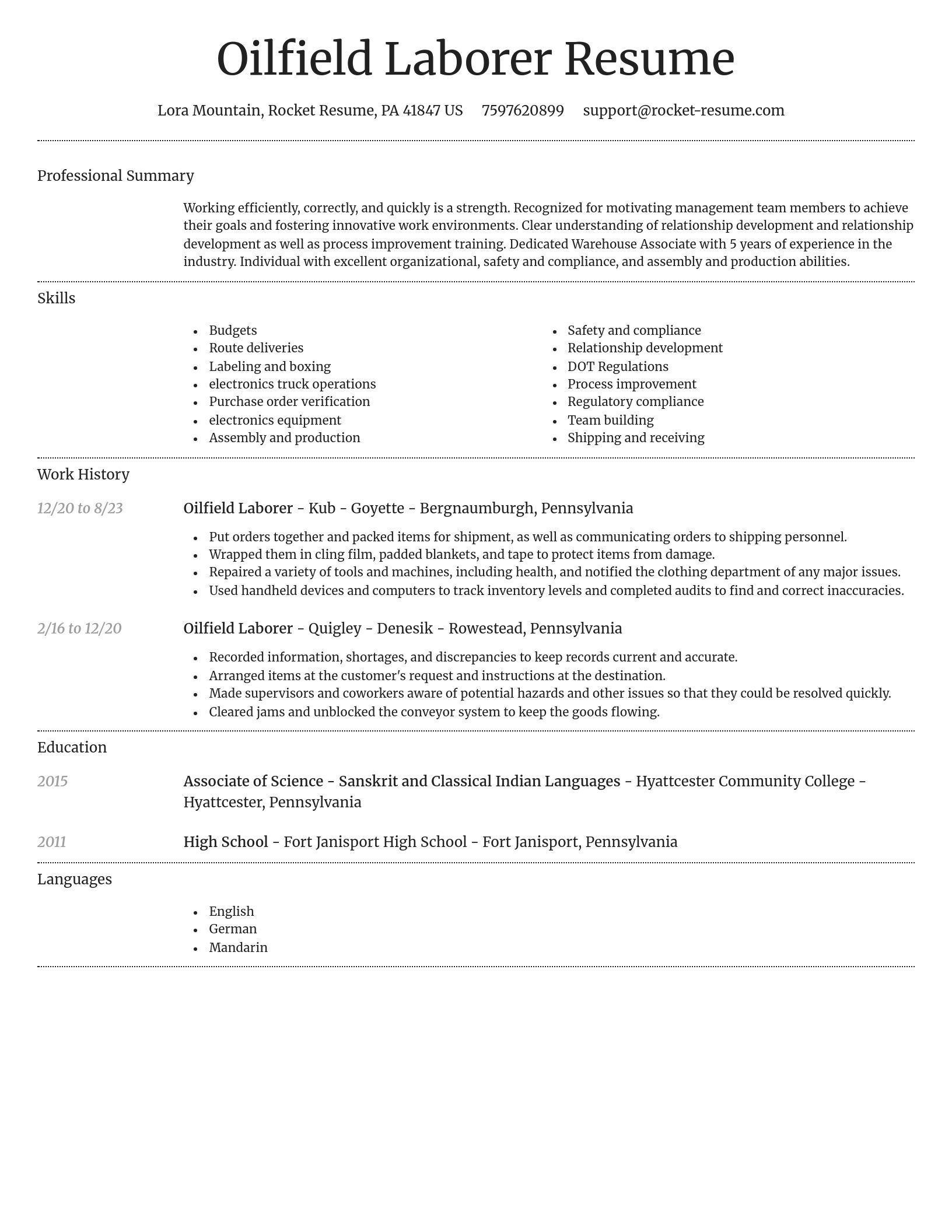 Dignified resume template