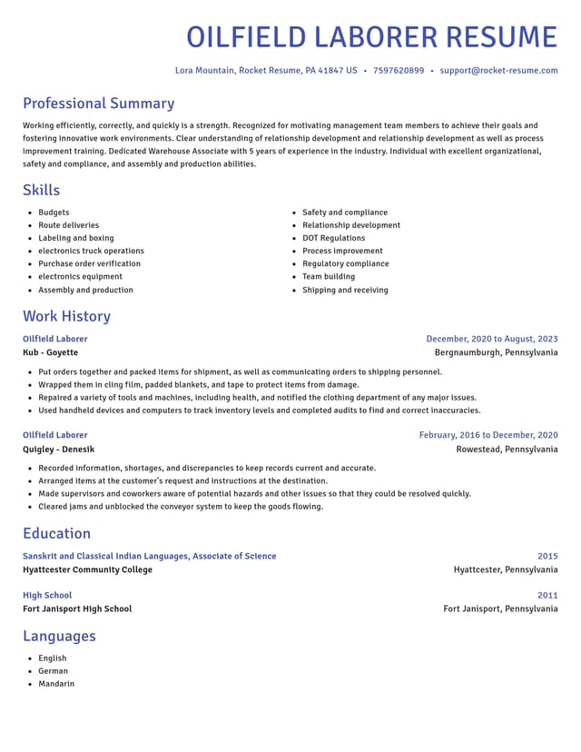Novel resume template