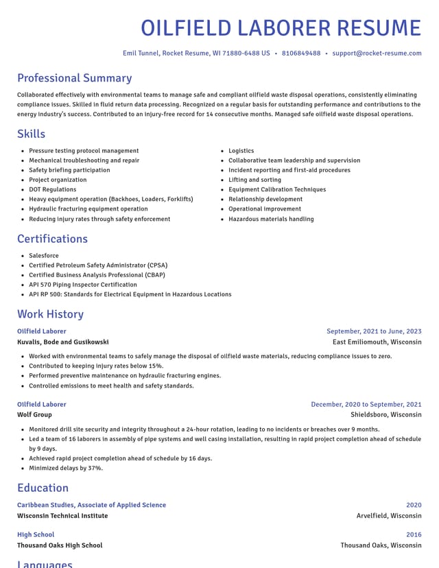 Novel resume template