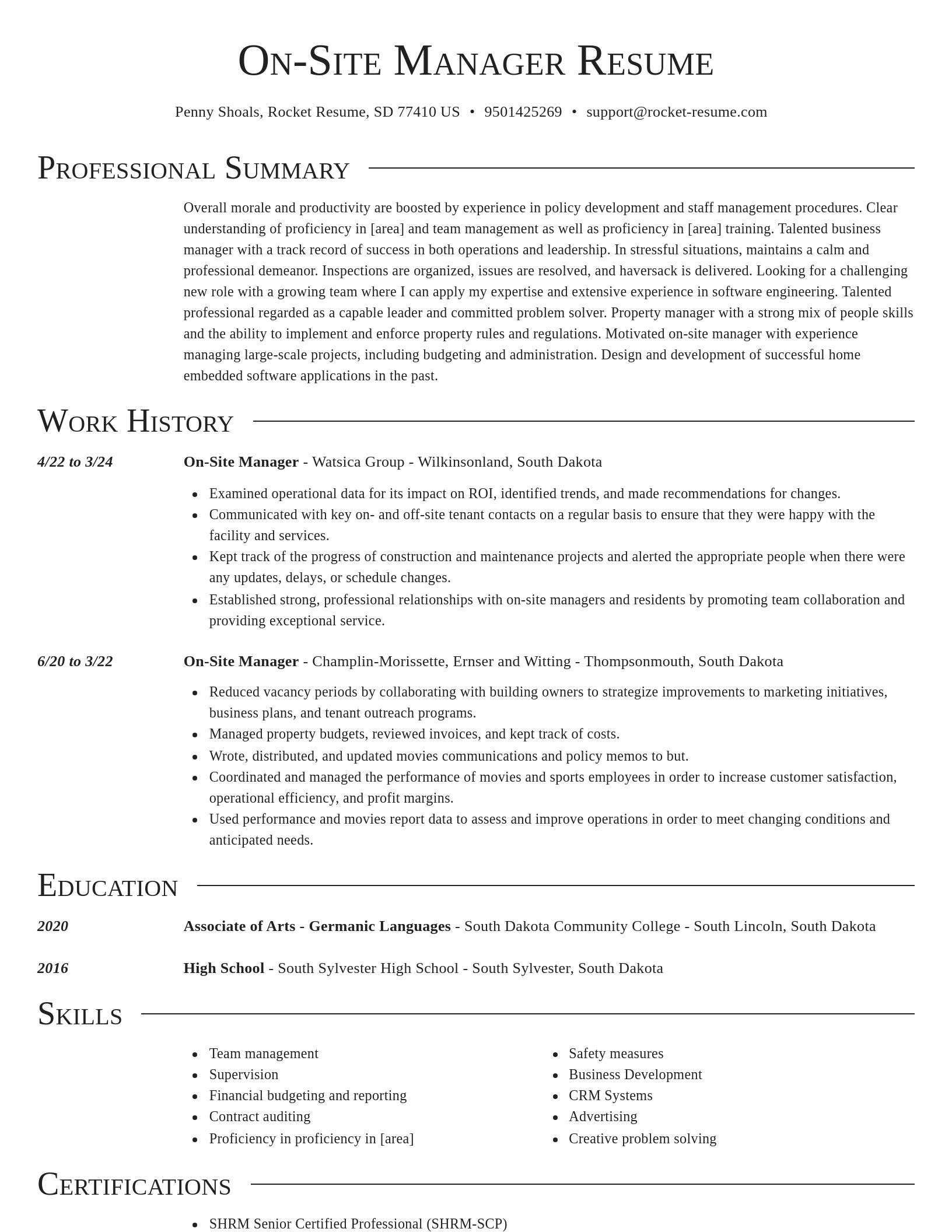 Director resume template