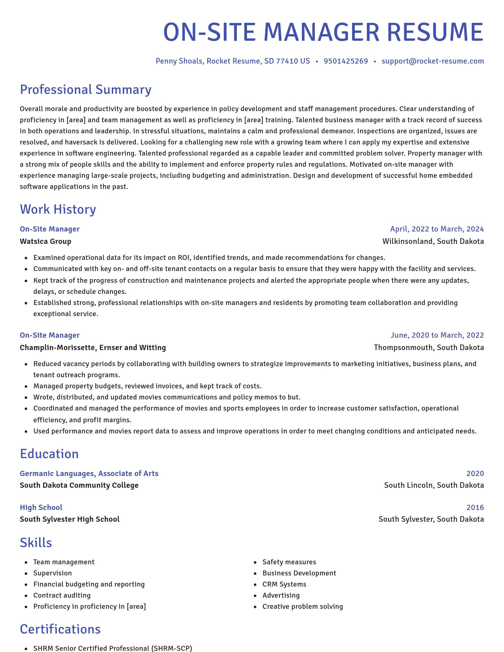 Novel resume template