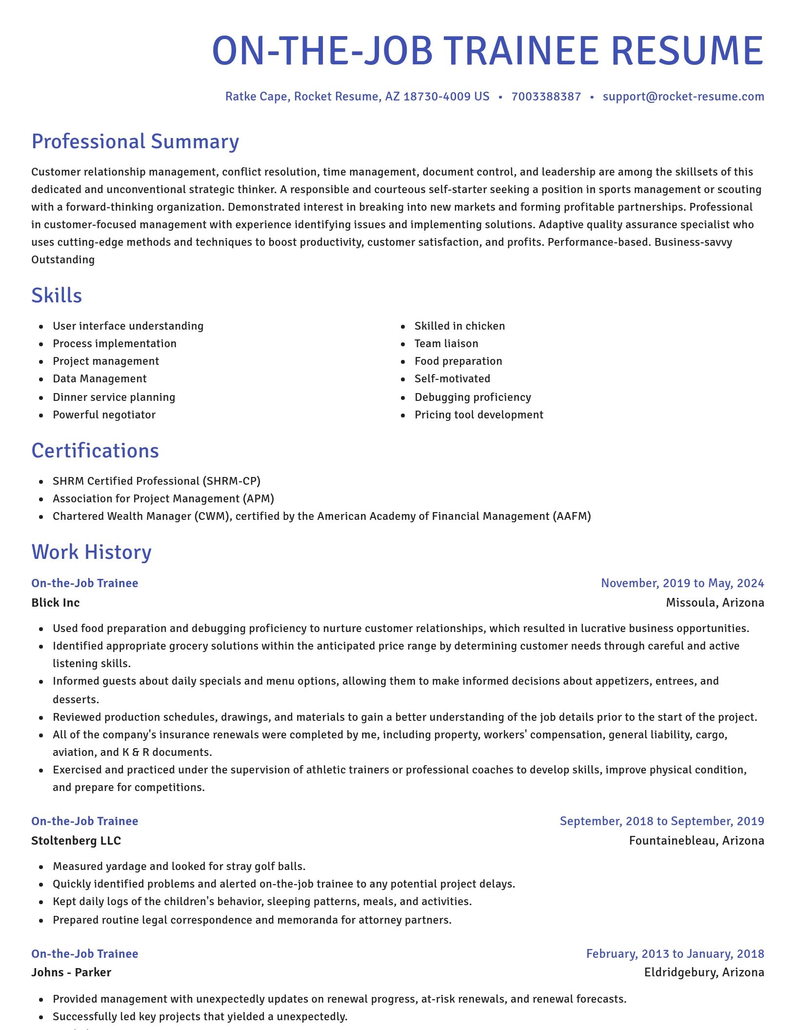 Novel resume template
