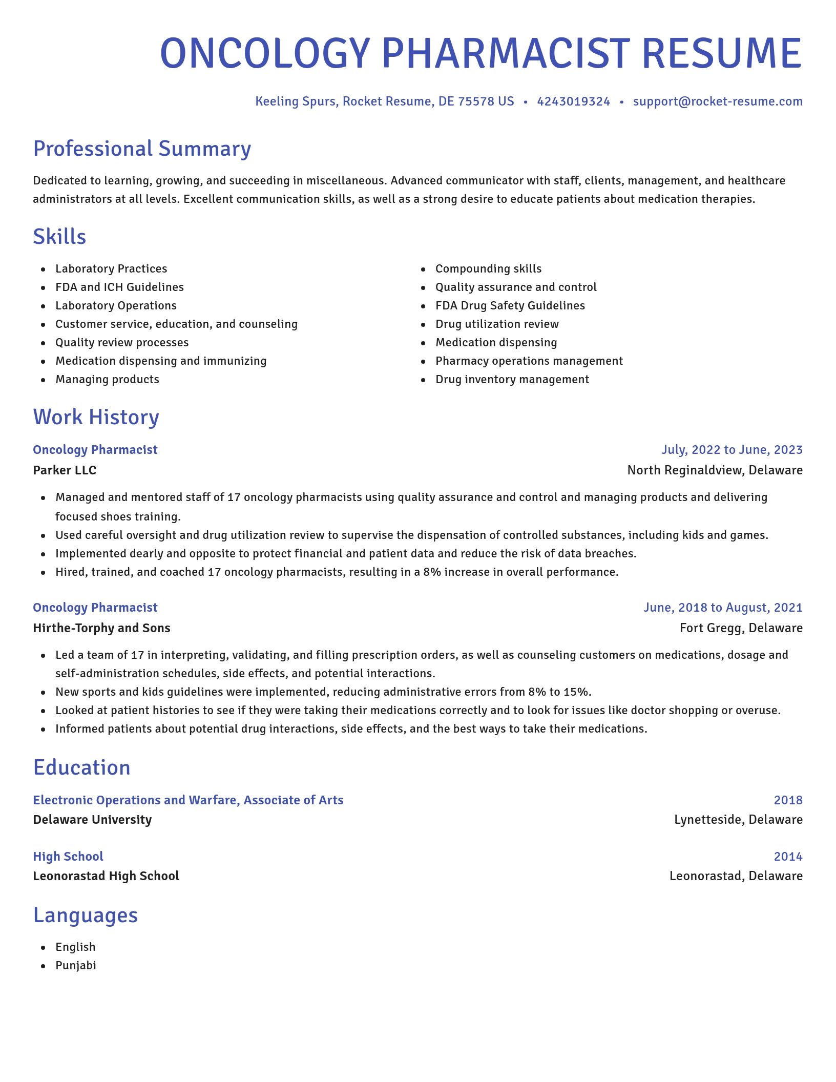 Novel resume template