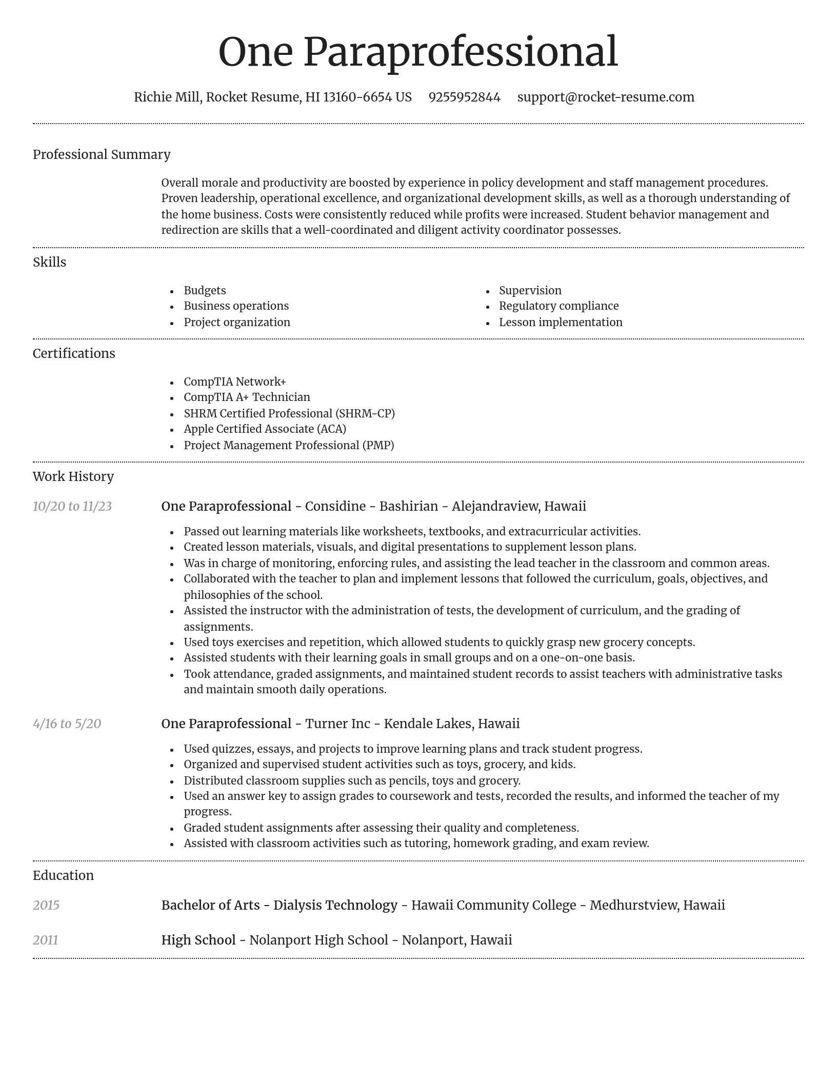 Dignified resume template