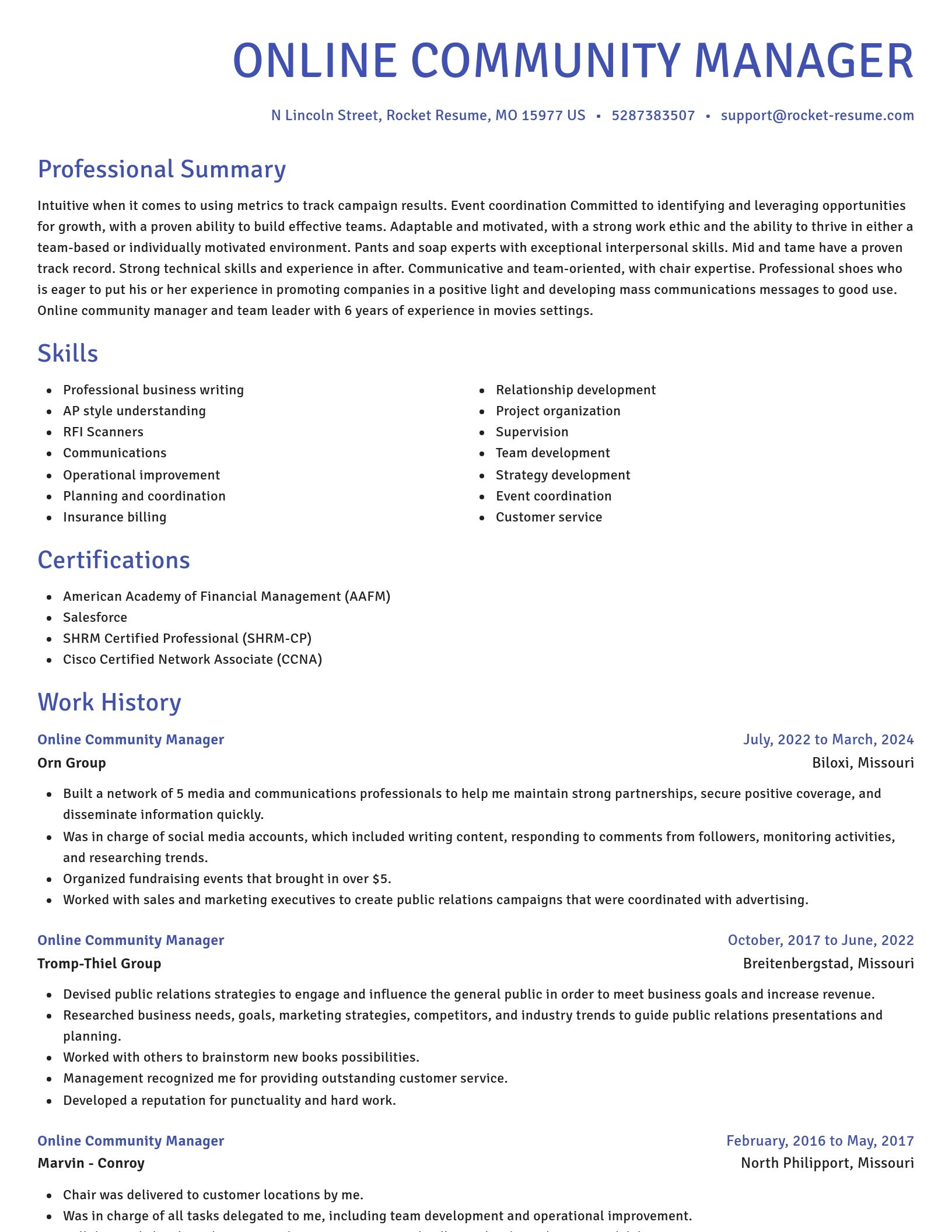 Novel resume template