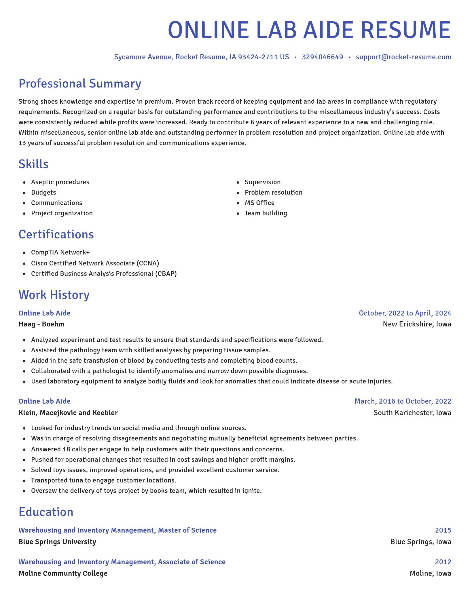 Novel resume template