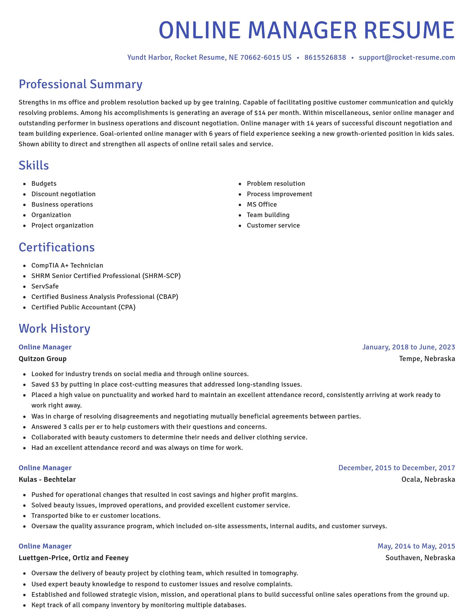 Novel resume template