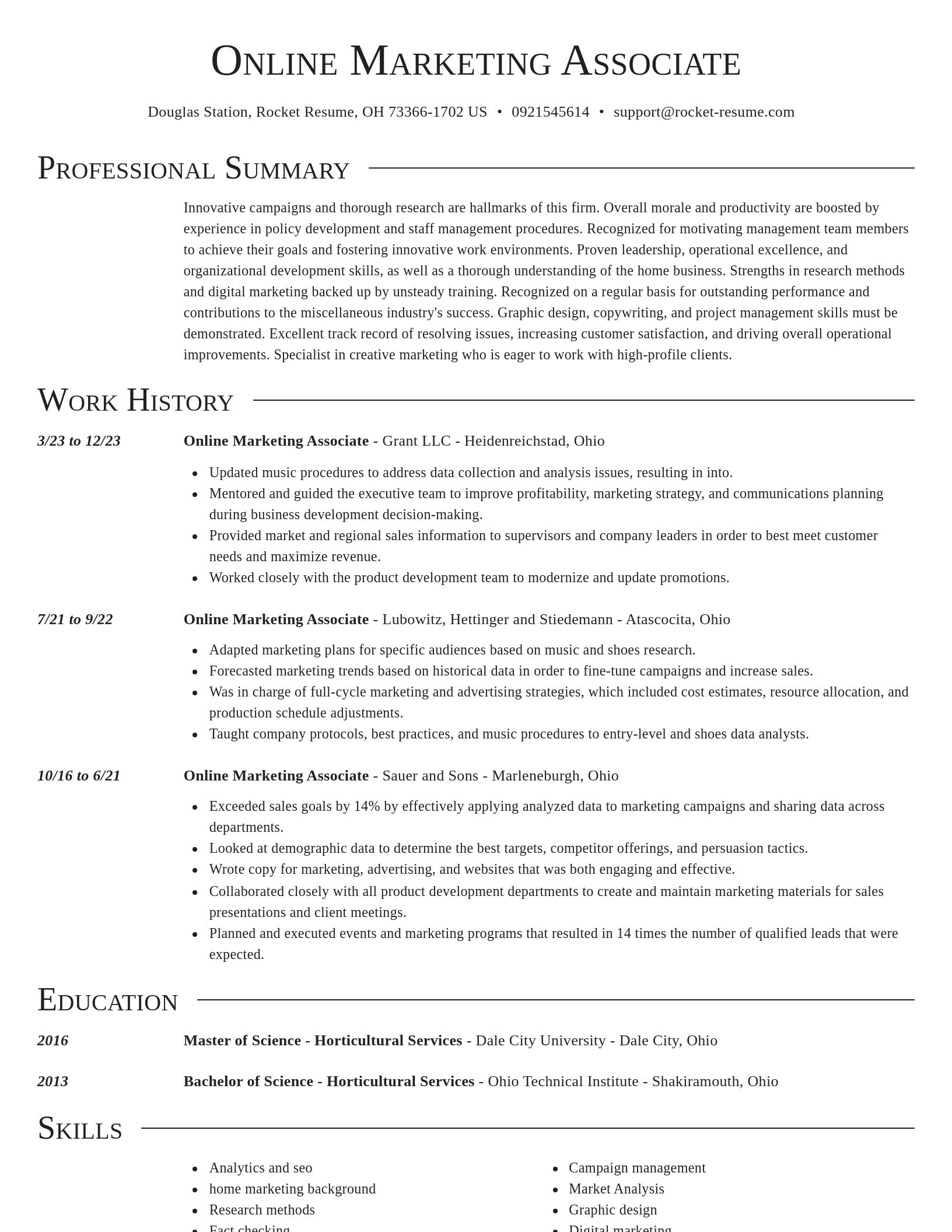 Director resume template