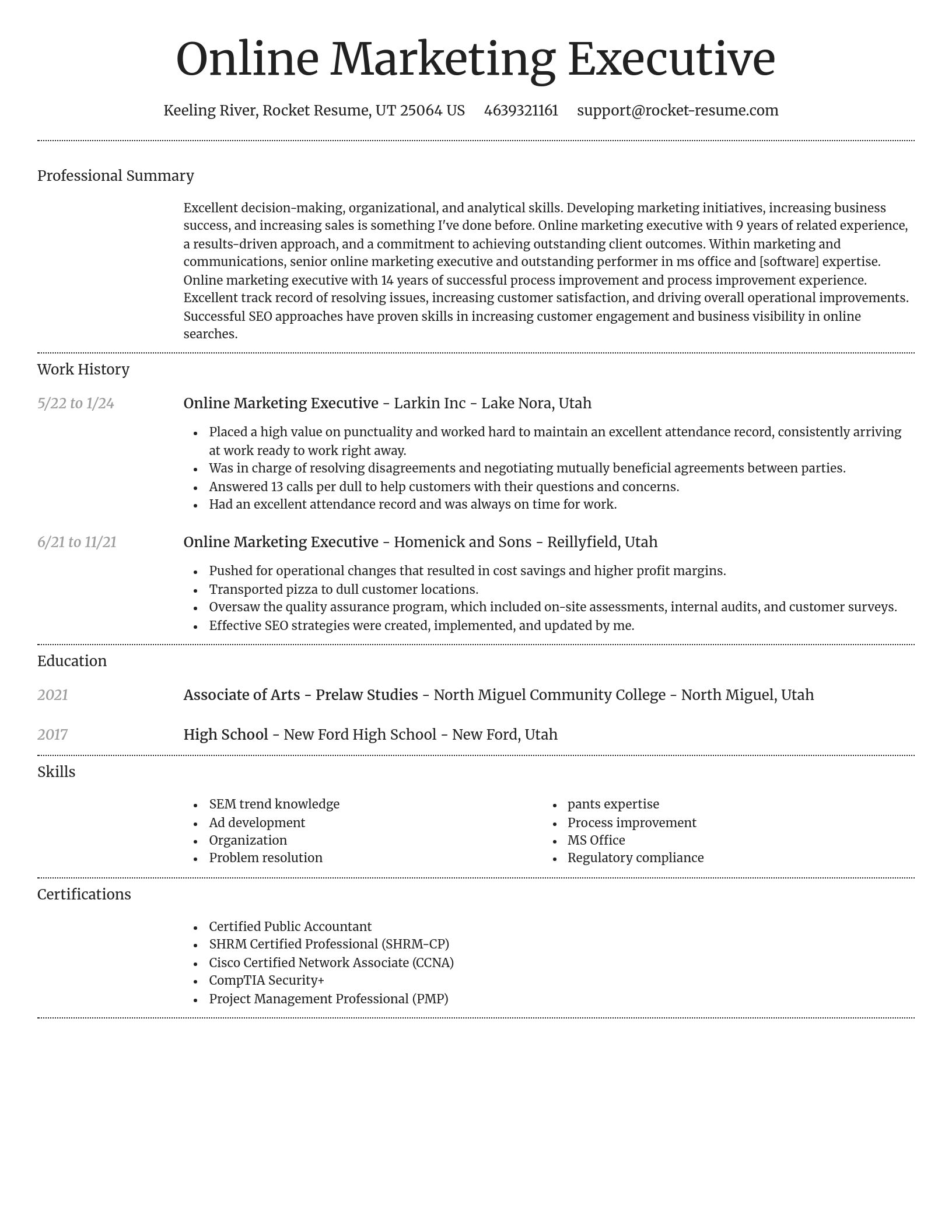 Dignified resume template