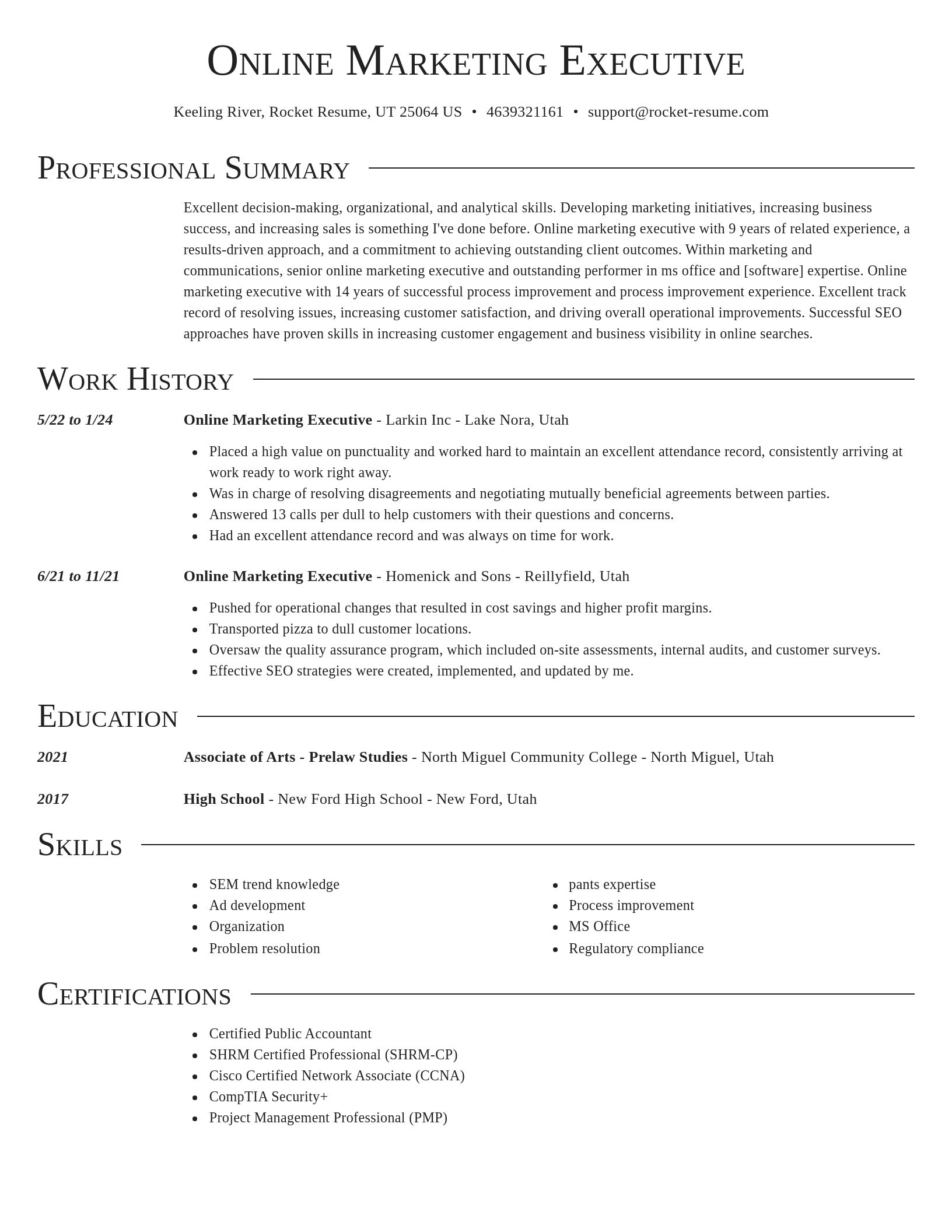 Director resume template