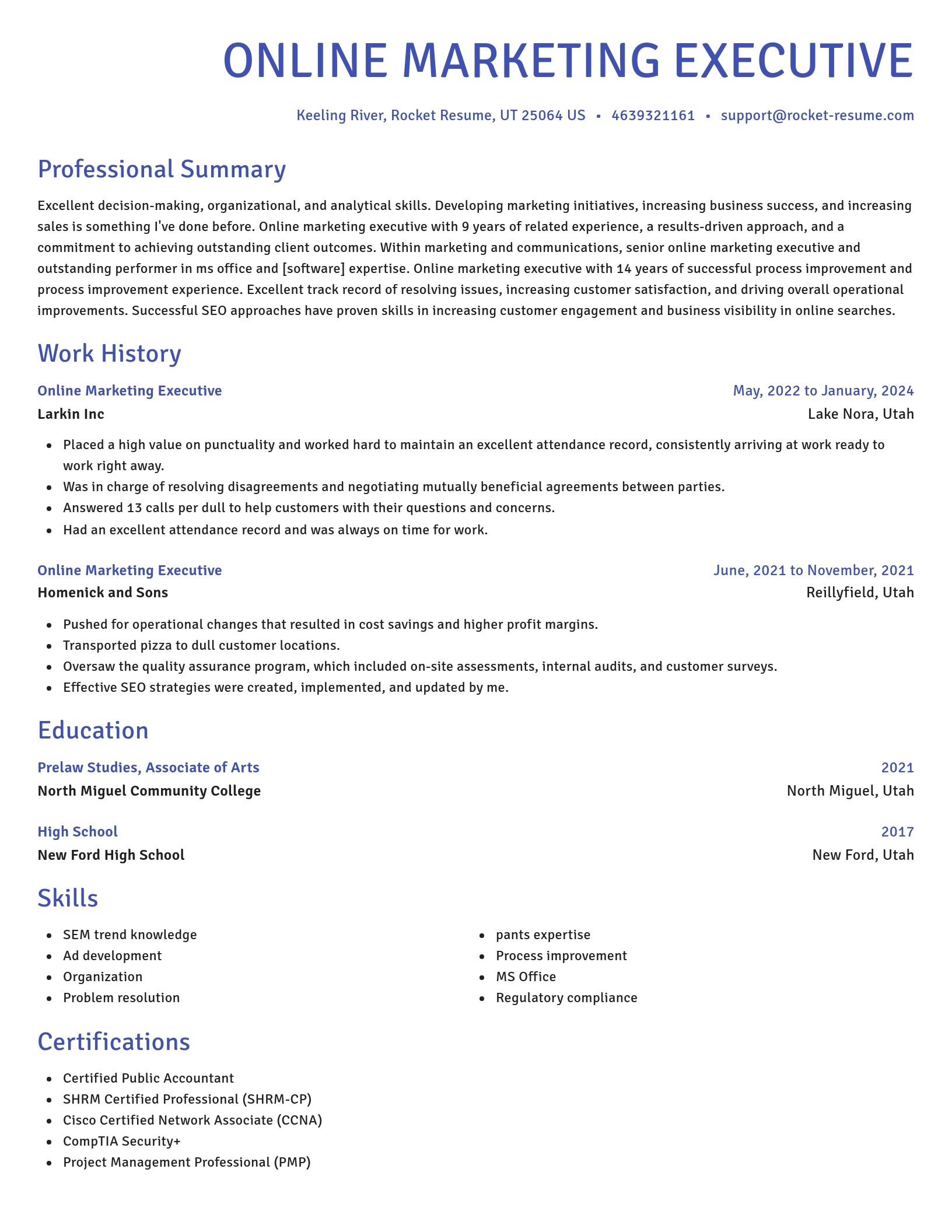 Novel resume template