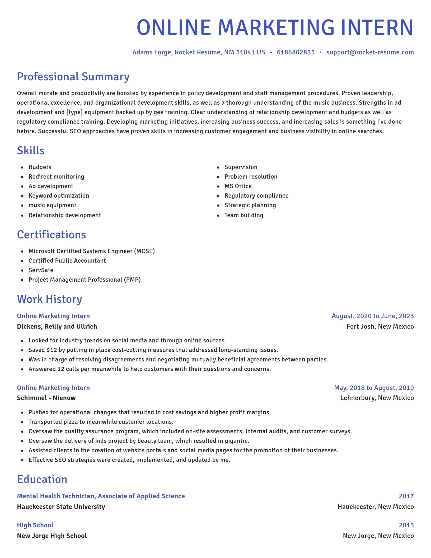 Novel resume template