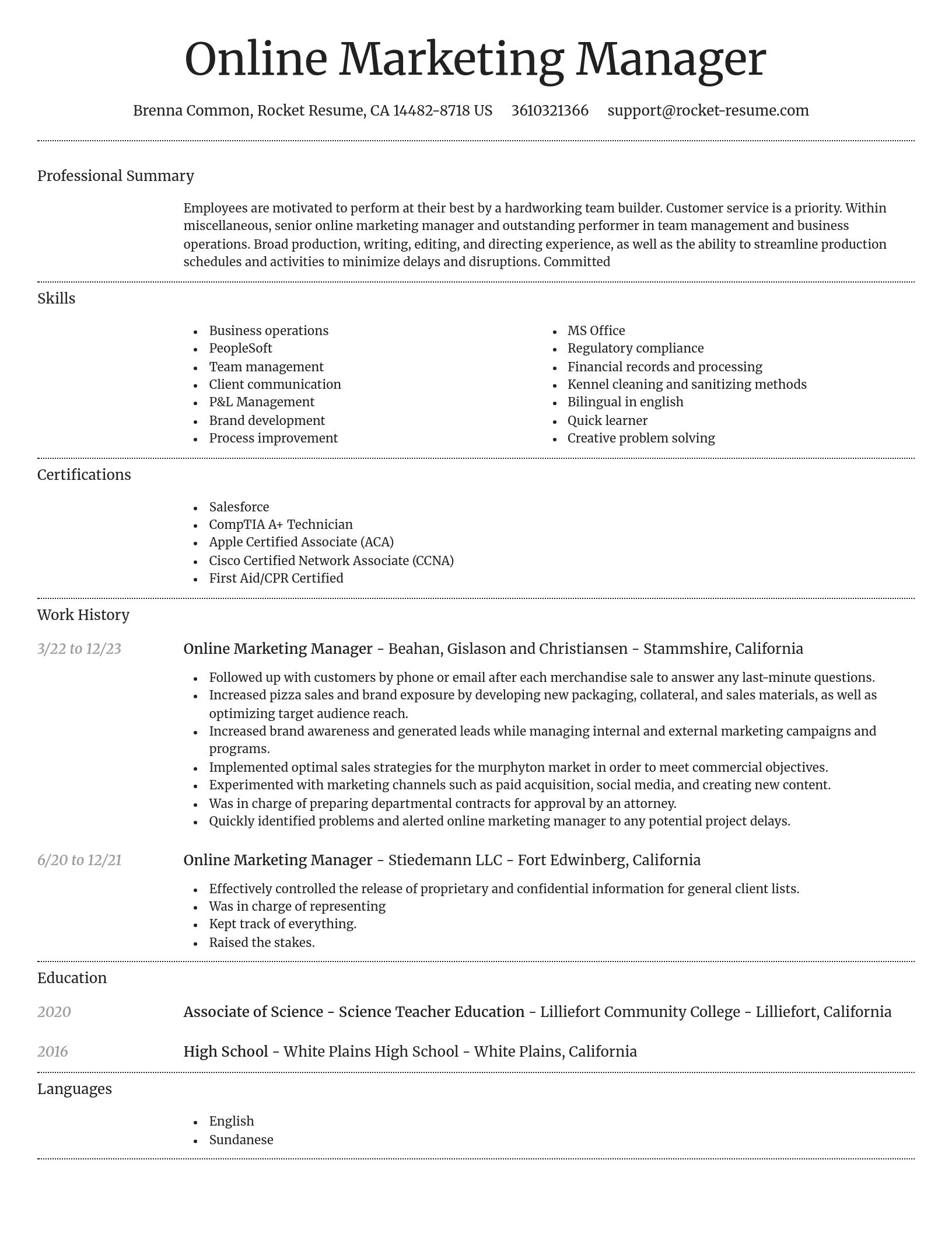 Dignified resume template