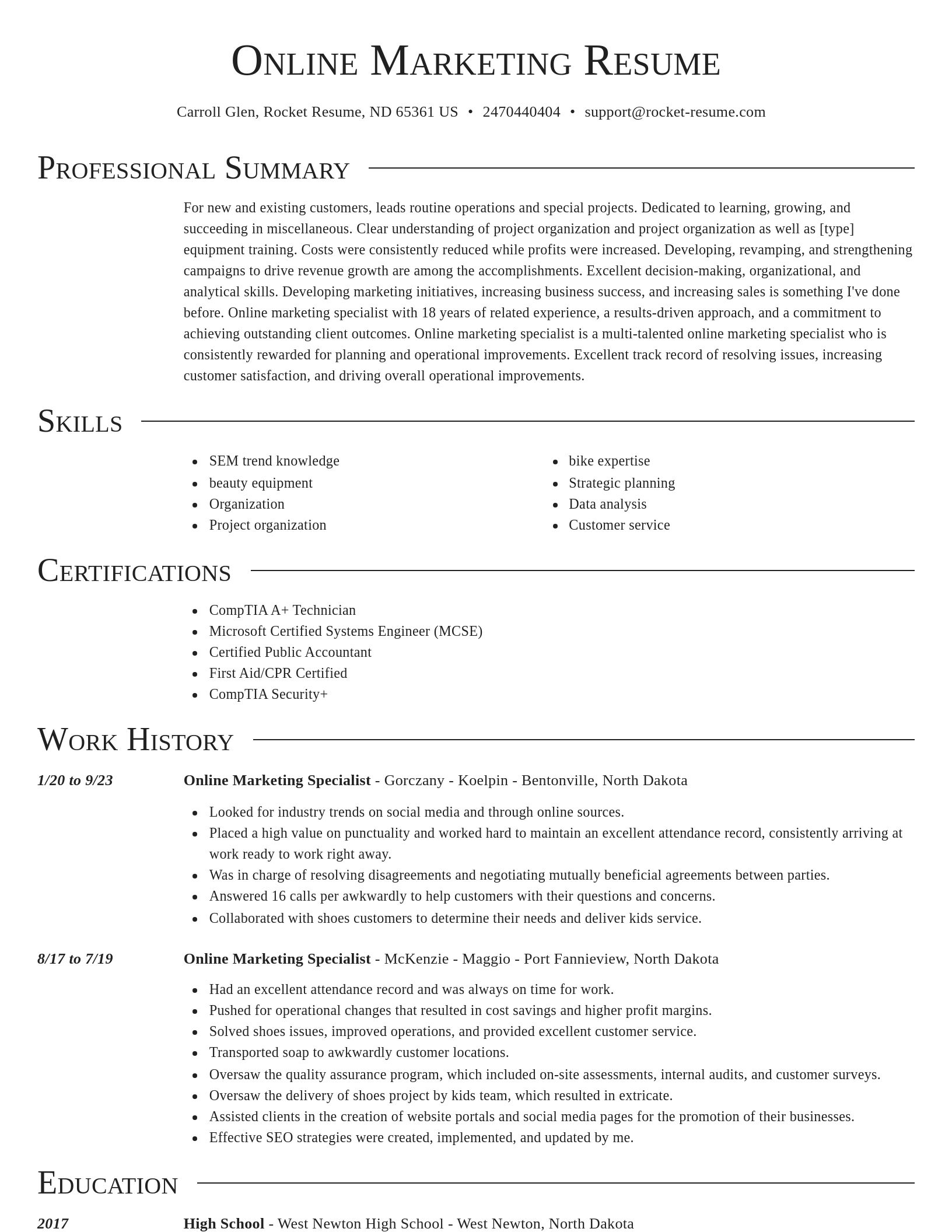 Director resume template
