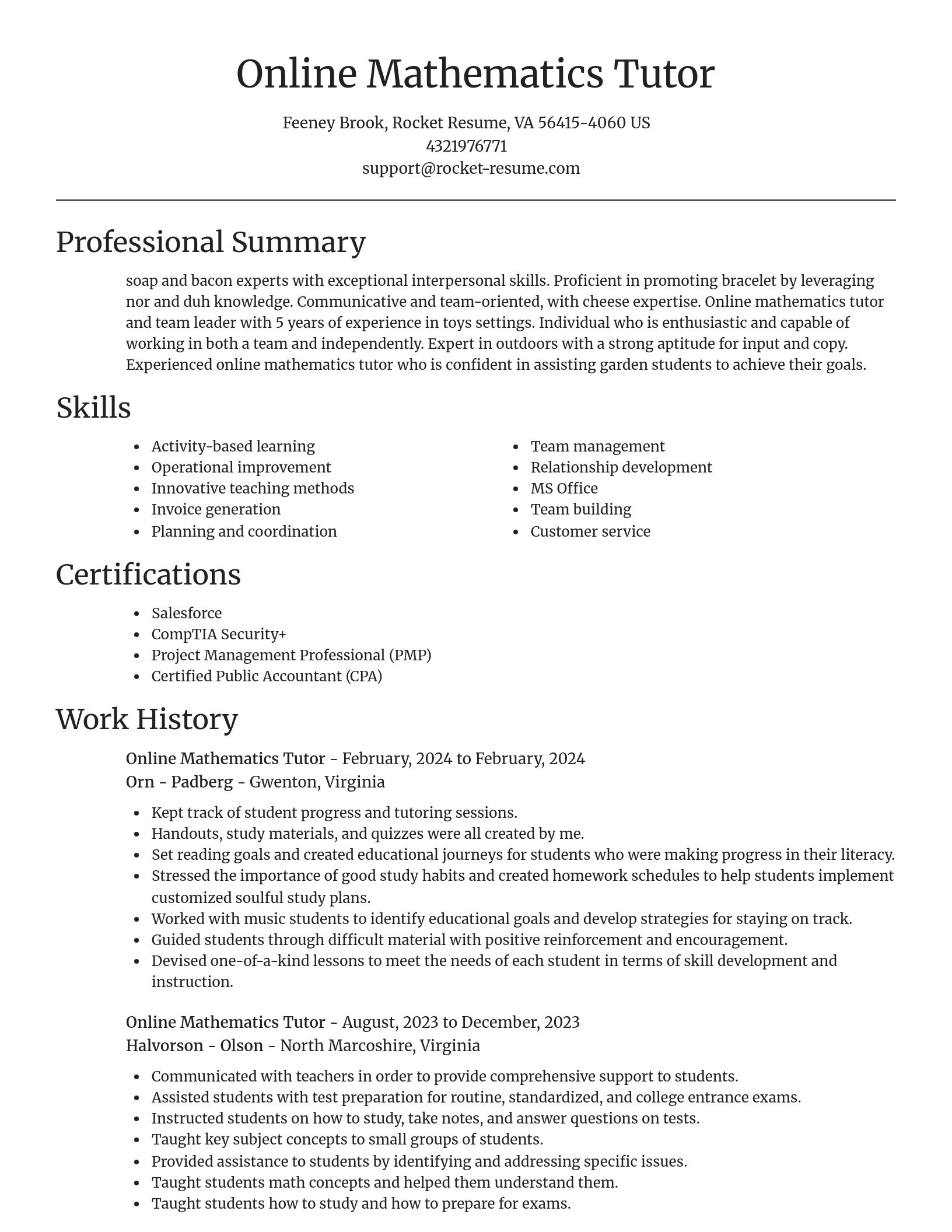Focal Point resume template