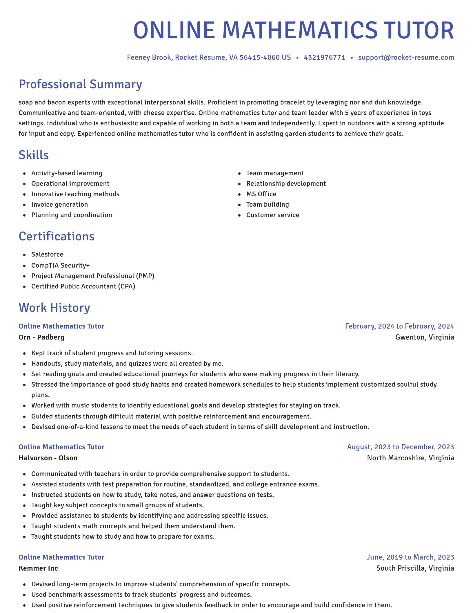 Novel resume template