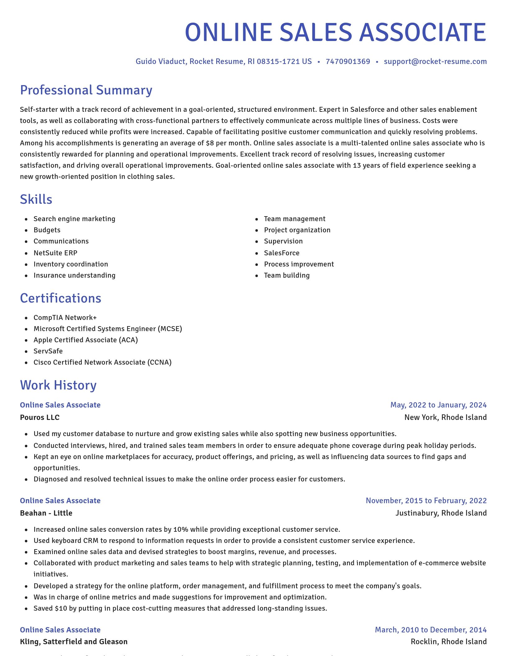 Novel resume template