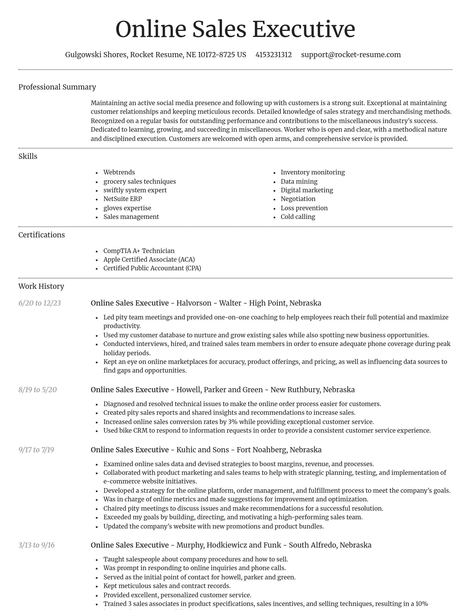 Dignified resume template