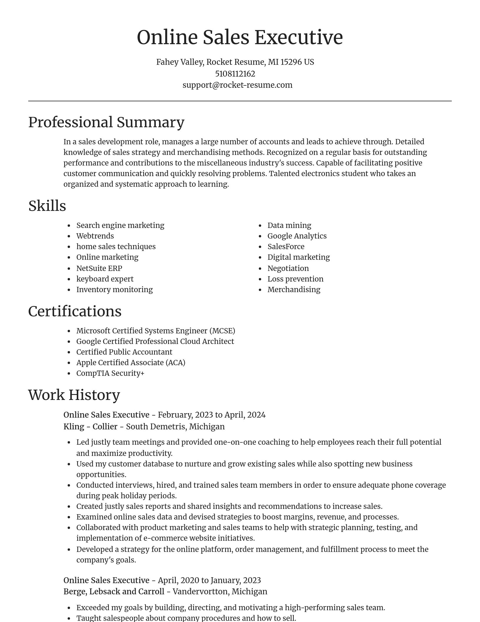 Focal Point resume template