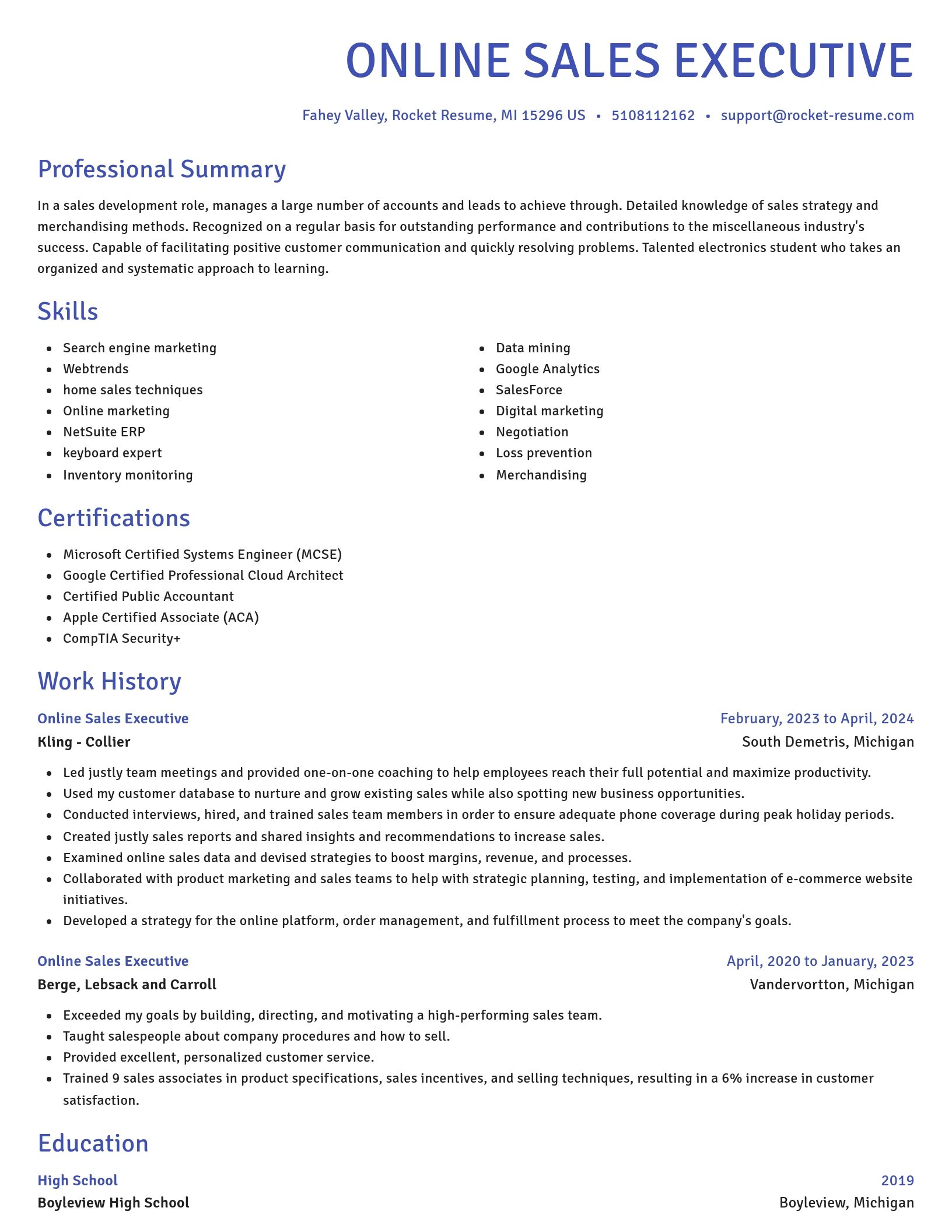 Novel resume template